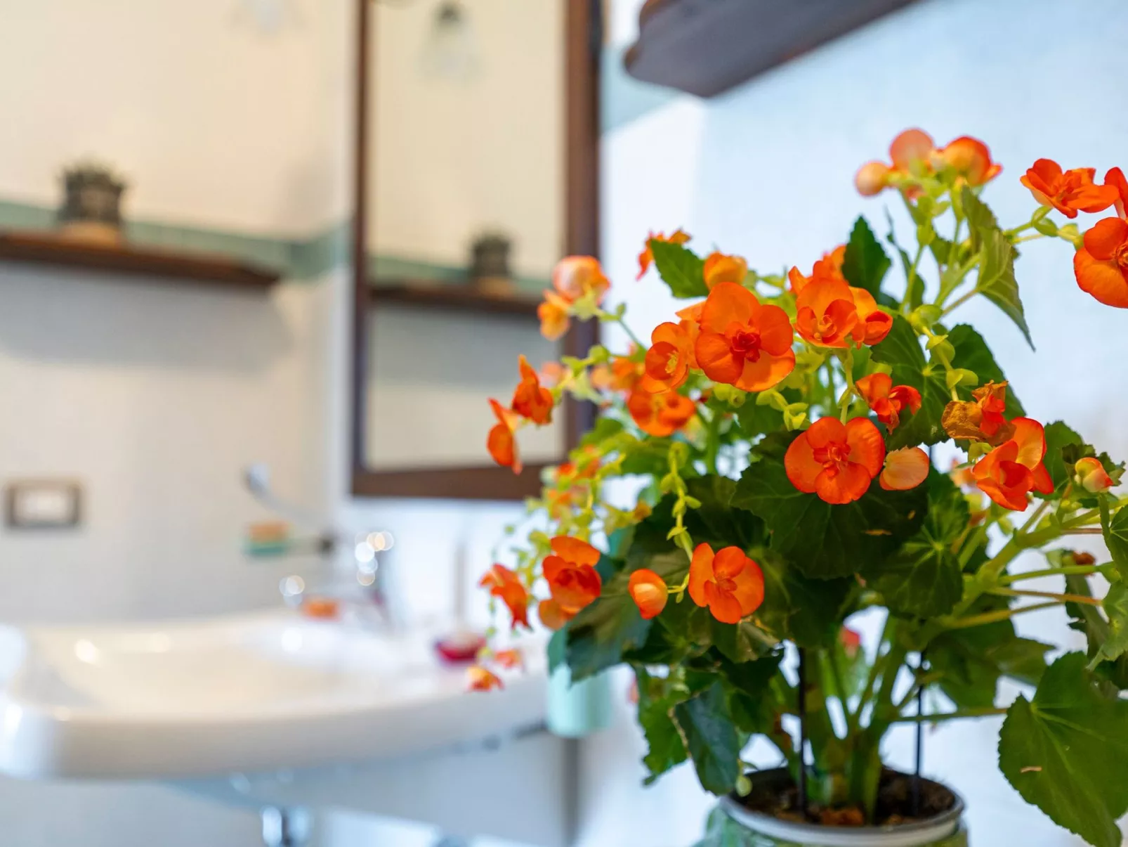 Wohnung 'Girasole' mit Schwimmbad-Binnen