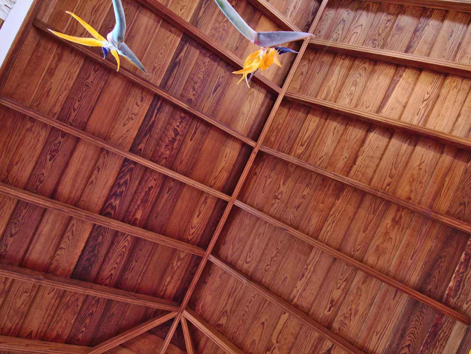 Casa Tanausu - Typisch kanarische Ferienunterkunft-Buiten