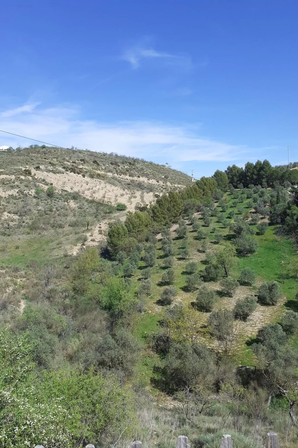 Wunderschön gelegenes Ferienhaus mit privatem Pool-Buiten