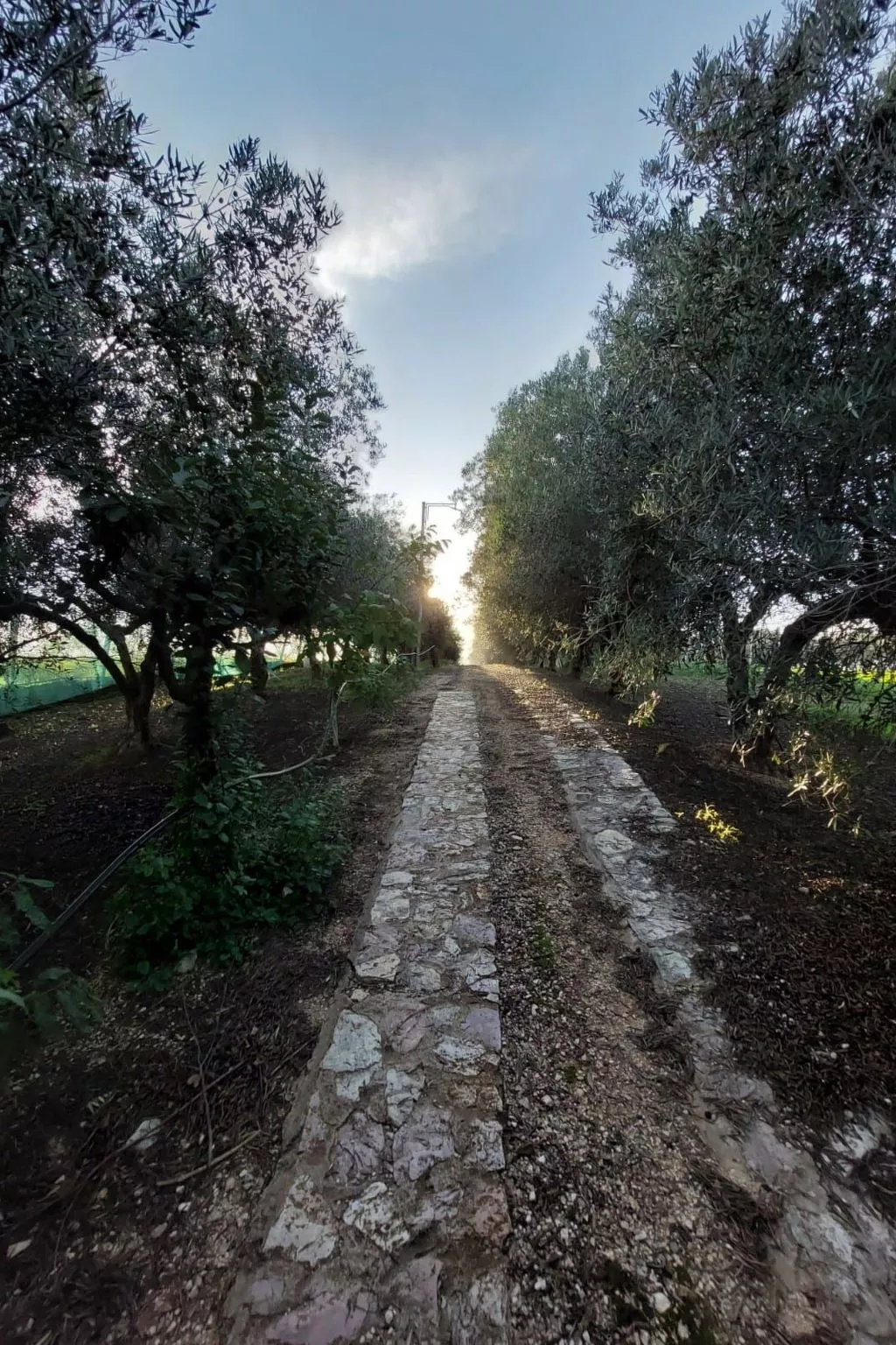 Entspannung, Meer, Natur, Kultur-Image-tags.info