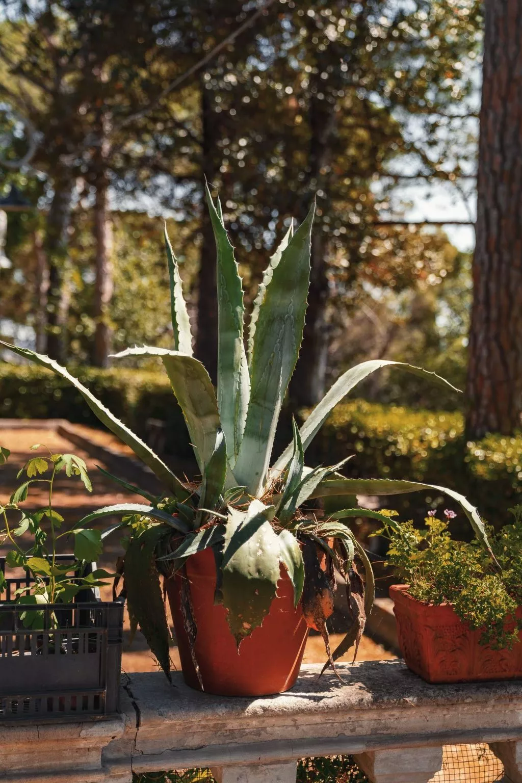 Drei-Zimmer-Panorama-Wohnung mit Terrasse und Sommerpool-Buiten