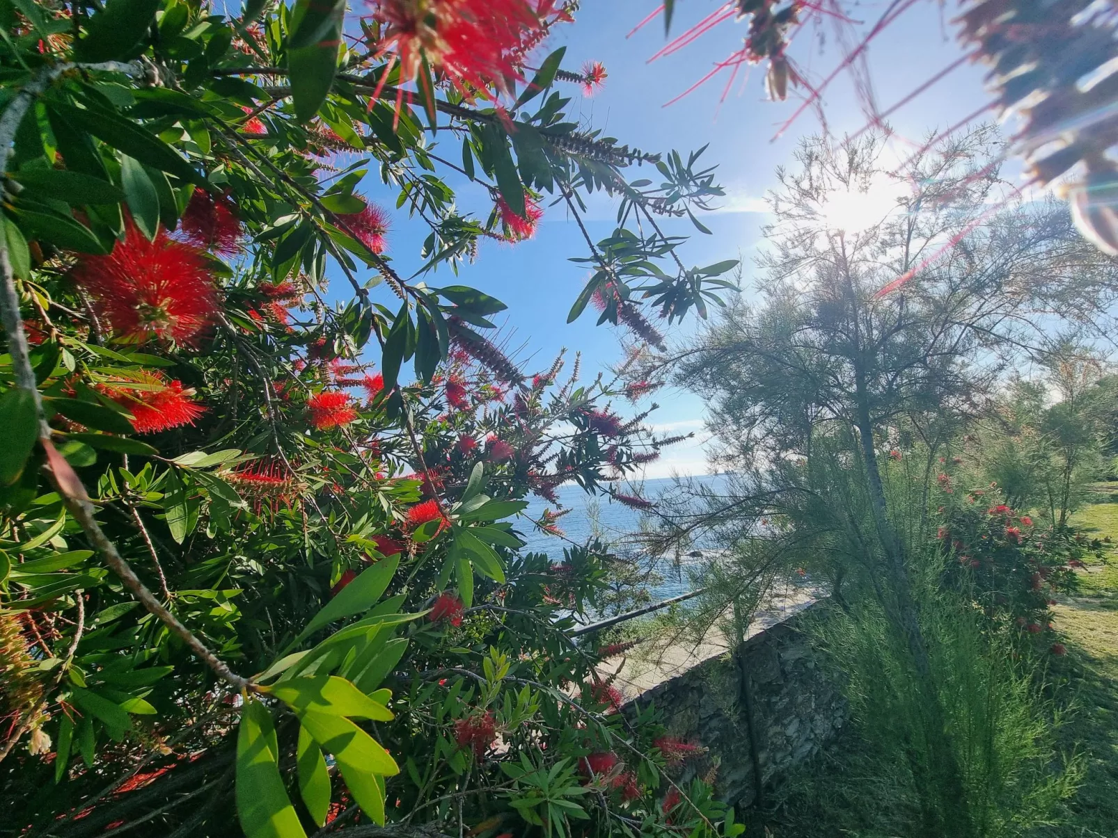 Haus Blu Capolungo von Holiday World-Image-tags.info