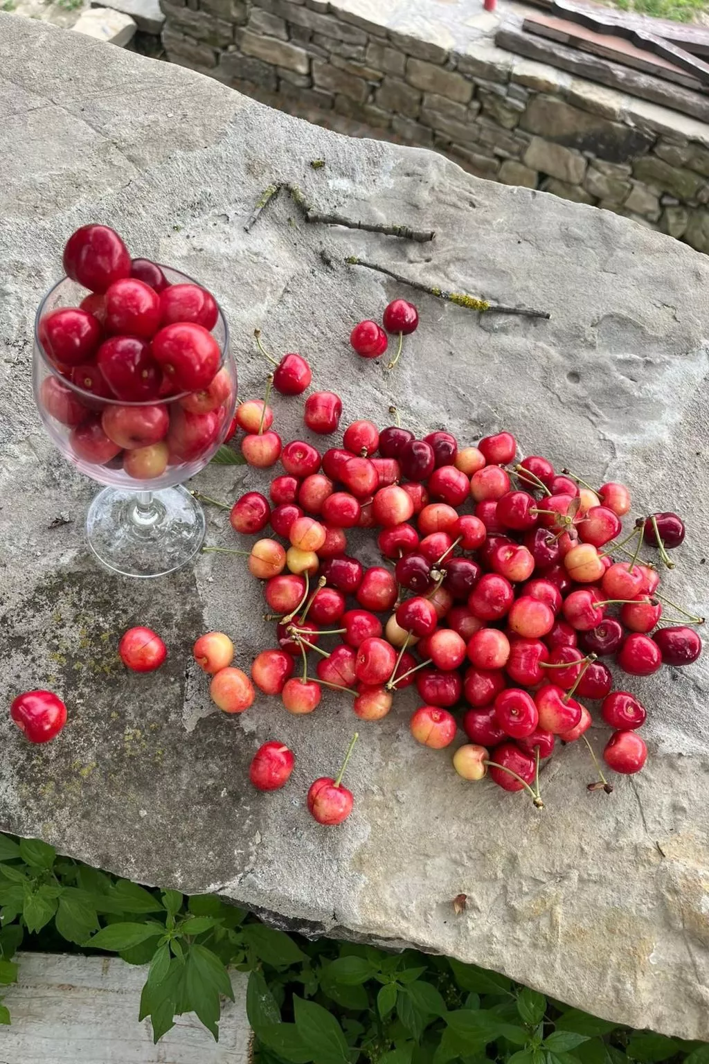 Cascina Bricco - San Giorgio Scarampi Wohnung-Binnen