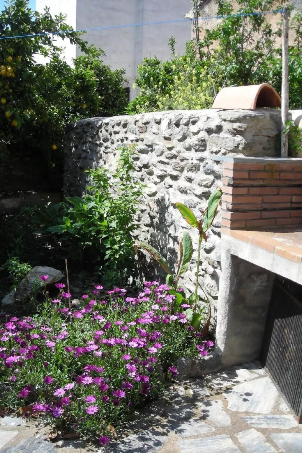 Eine Oase der Ruhe mitten in der Stadt-Buiten