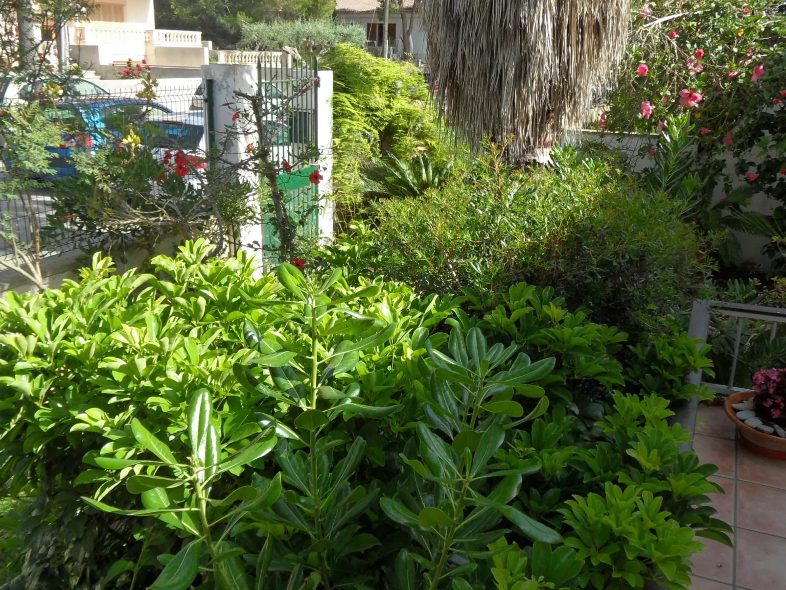 Für 2 Personen und 4 Kinder-Buiten