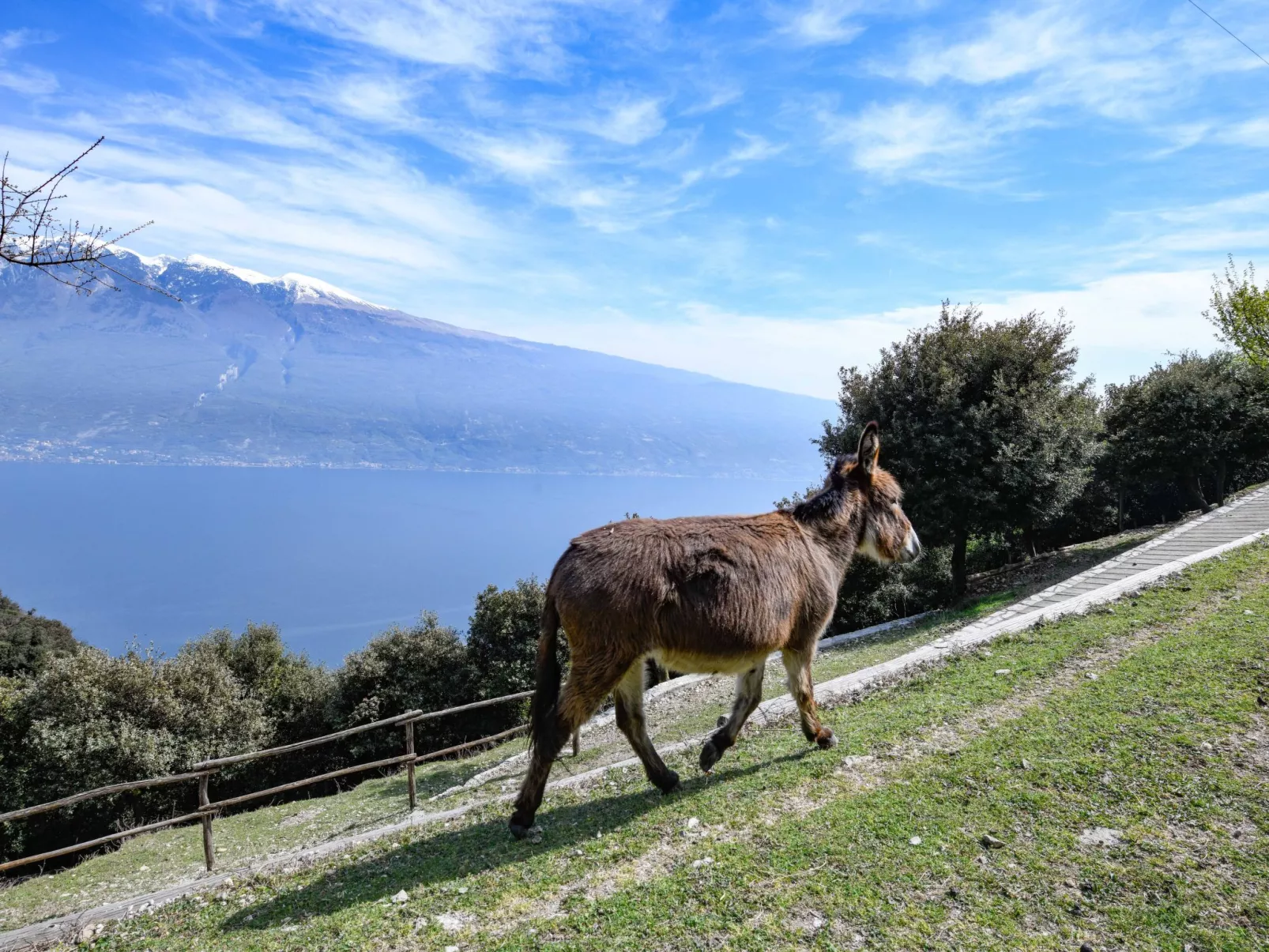 Penthouse-Wohnung-Buiten