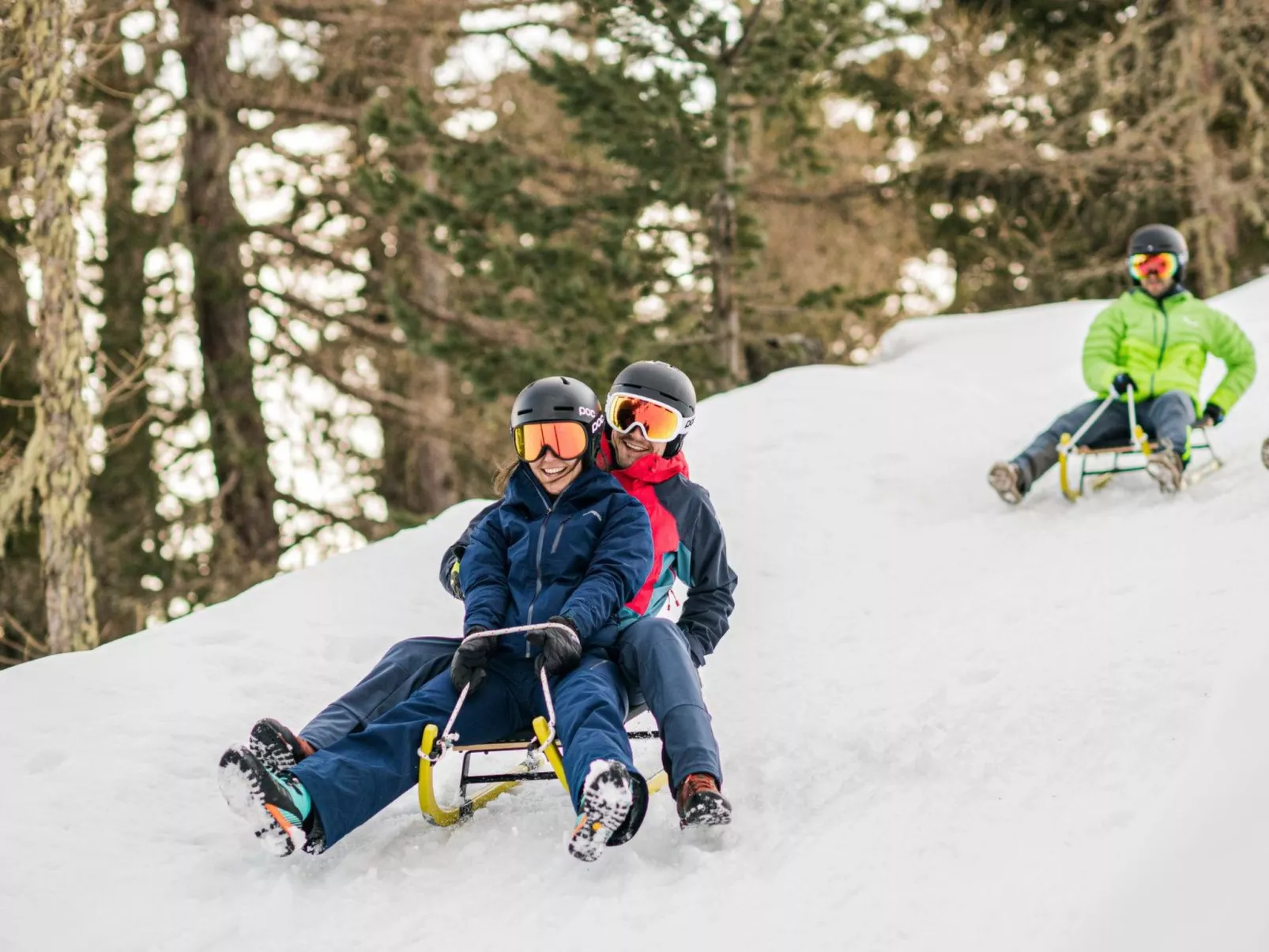 Alpenrose-Image-tags.info