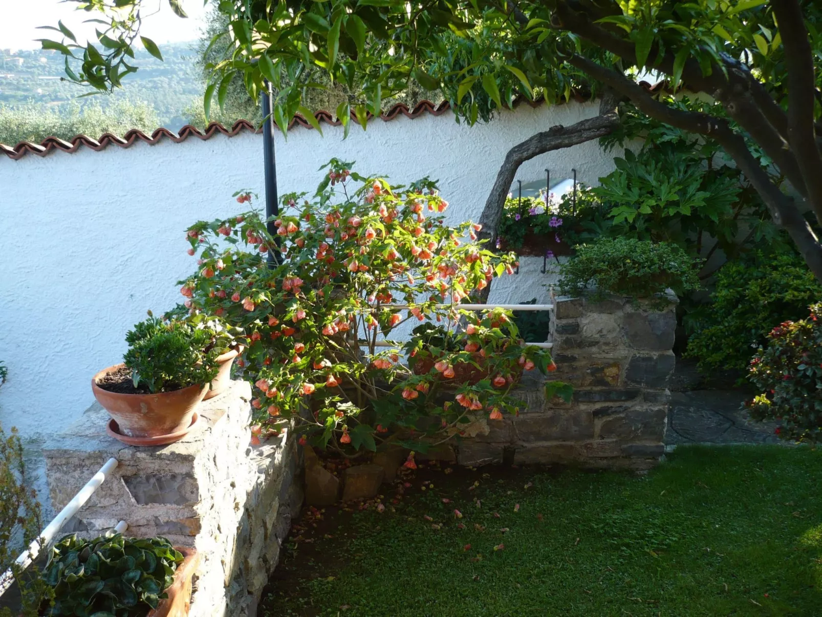 Anwesen mit Wasserblick - Buiten