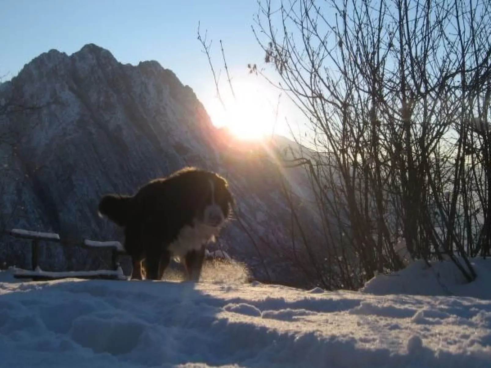 Niederwaldhaus in Solto Collina
