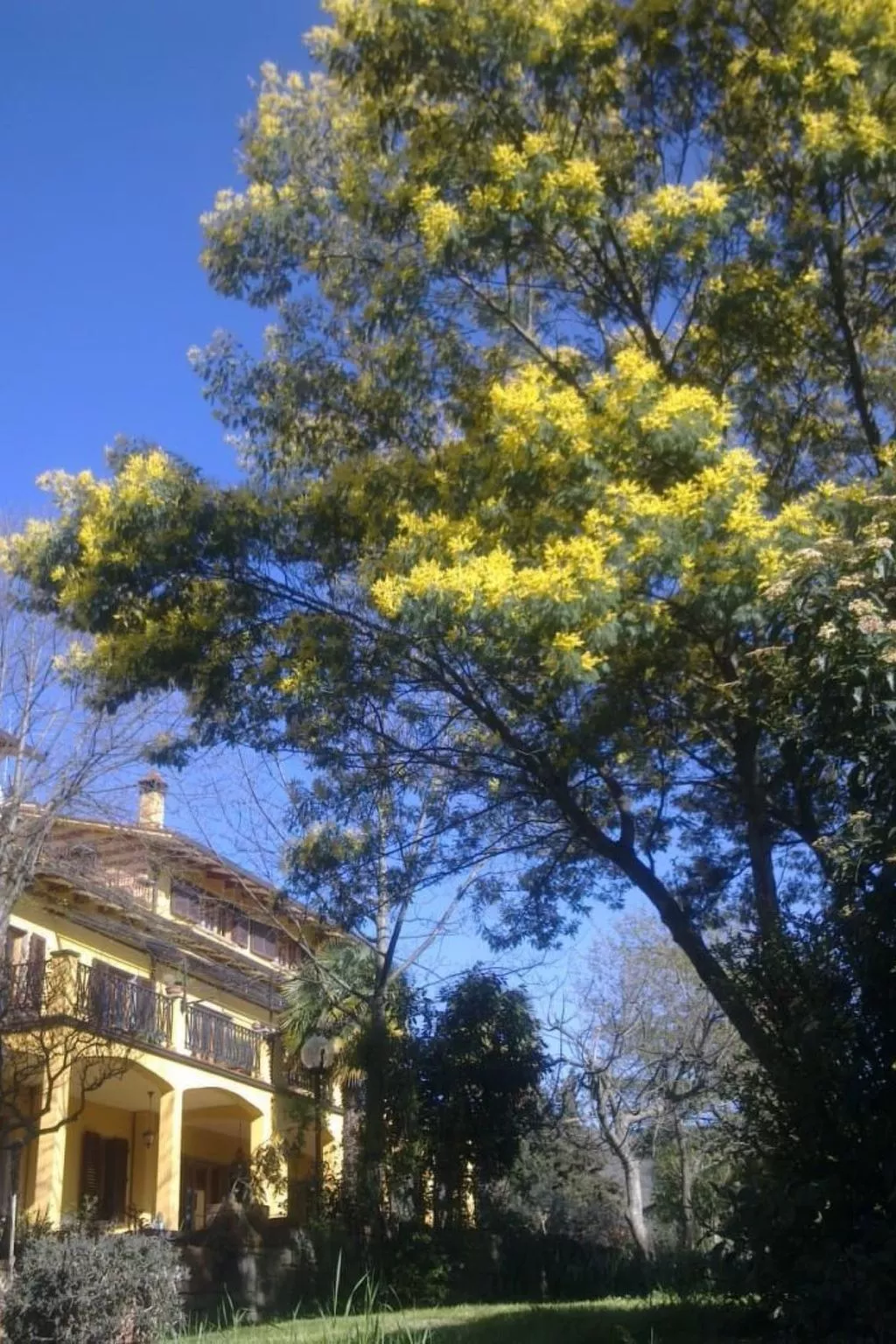 Tolles Ferienhaus in Pian Di Scò mit Privatem Pool und Panoramablick-Image-tags.info