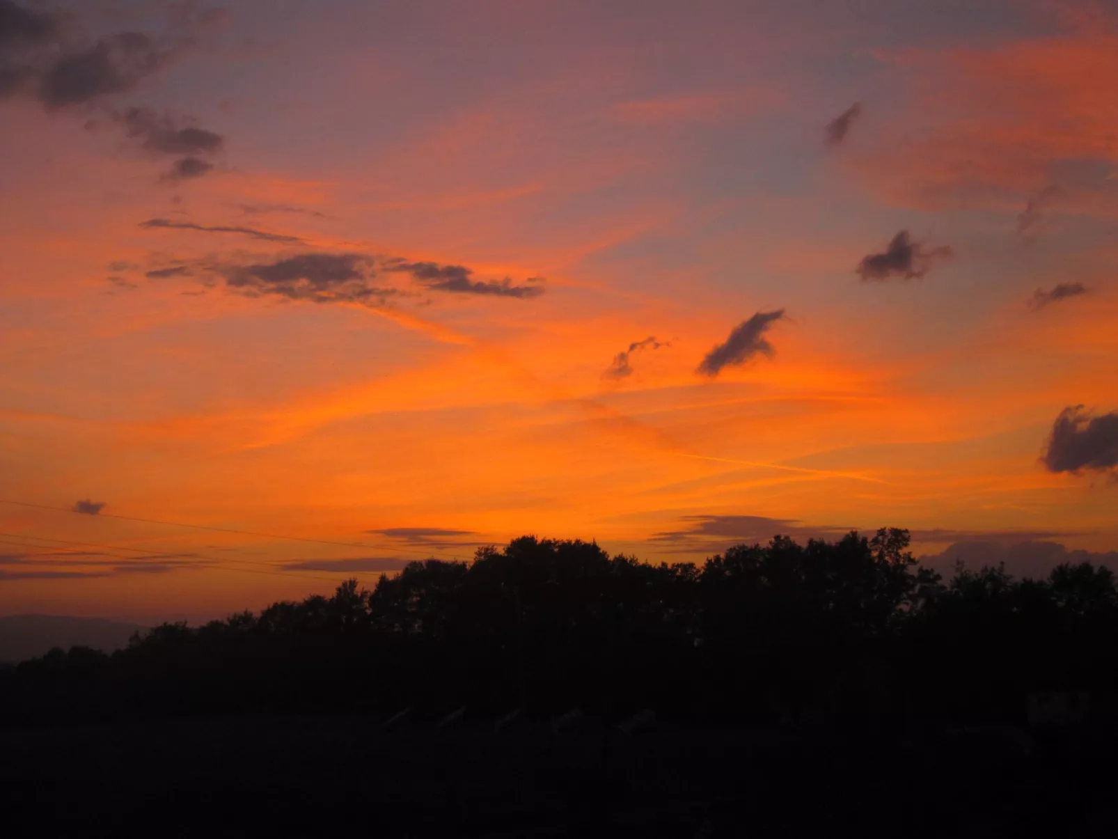 Sonnenblume Wohnung-Image-tags.info