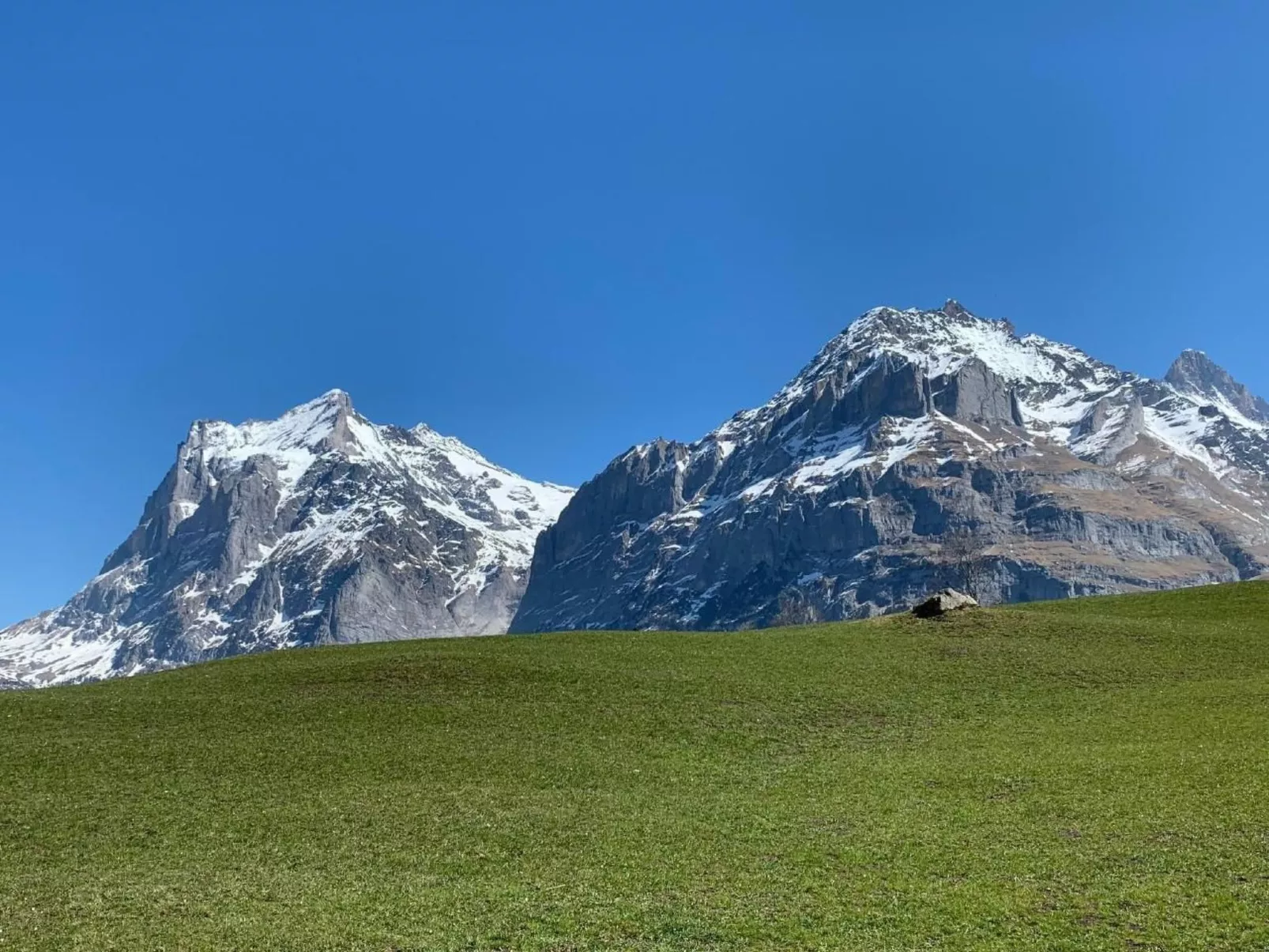 Grindelwald-Image-tags.info
