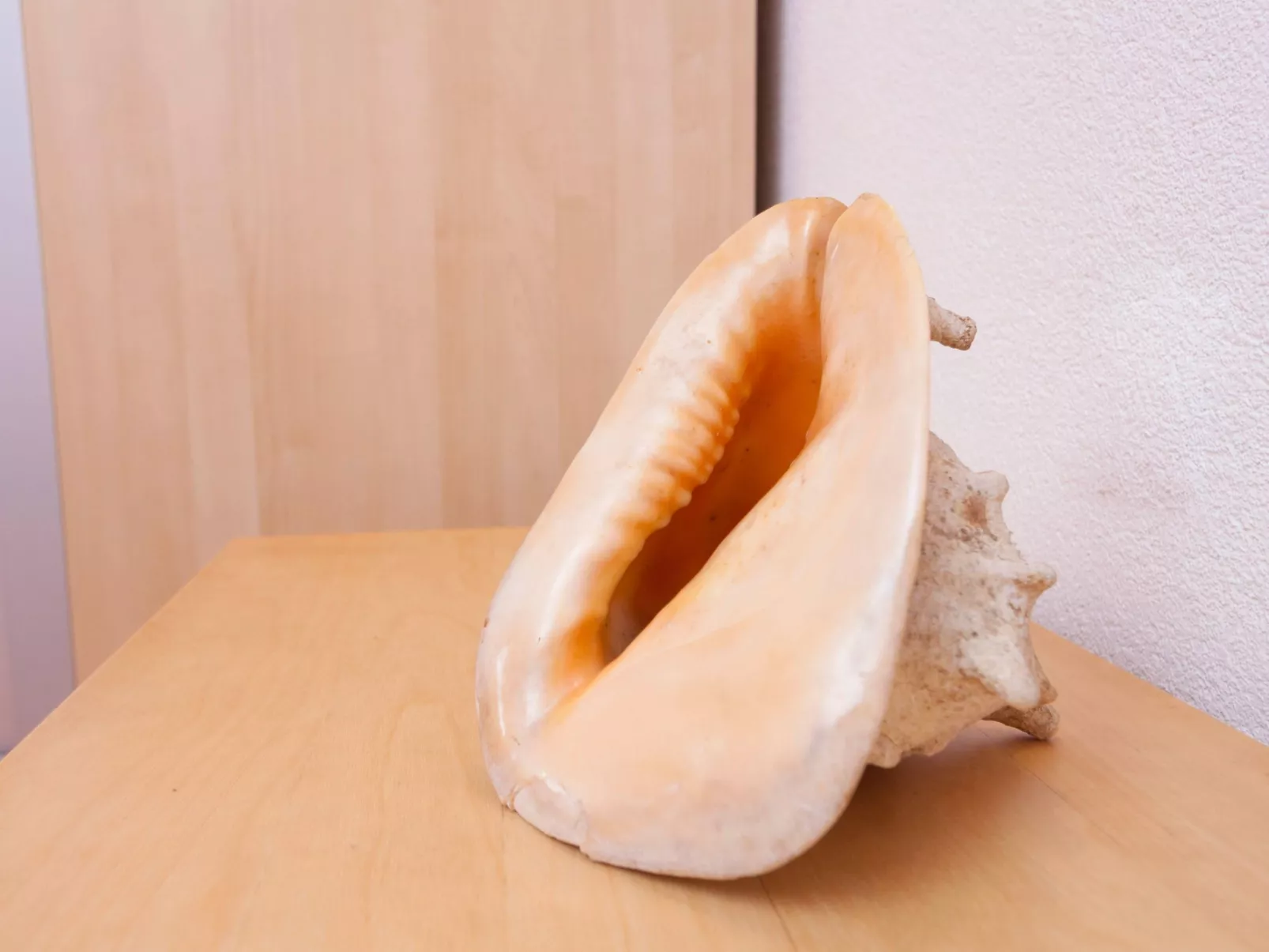 Wohnung "Slavija" mit Whirlpool-Binnen