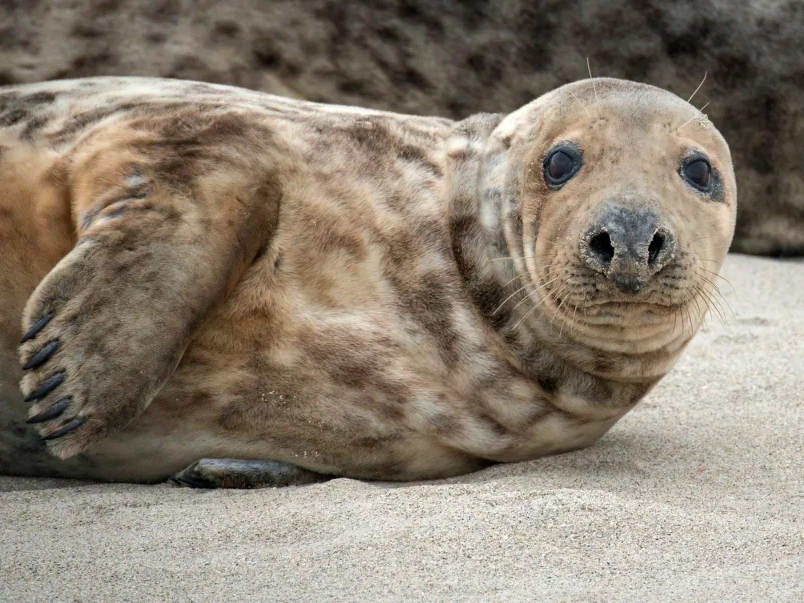 Gesamte Wohnung in Burhave mit Eigener Terrasse-Image-tags.info