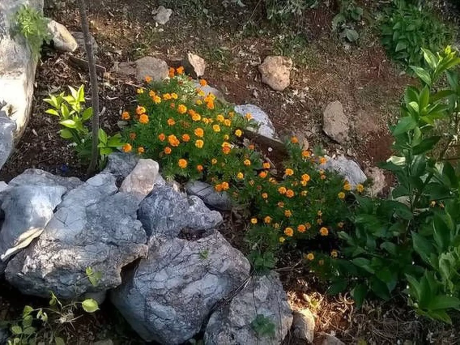 In der Nähe des Meeres und des Sees-Buiten