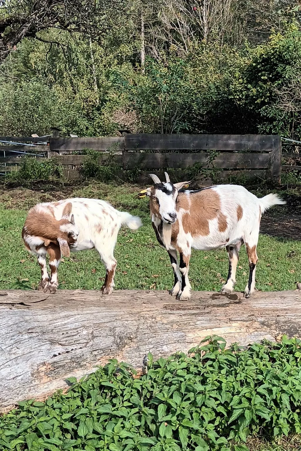Umundumhütte-Buiten
