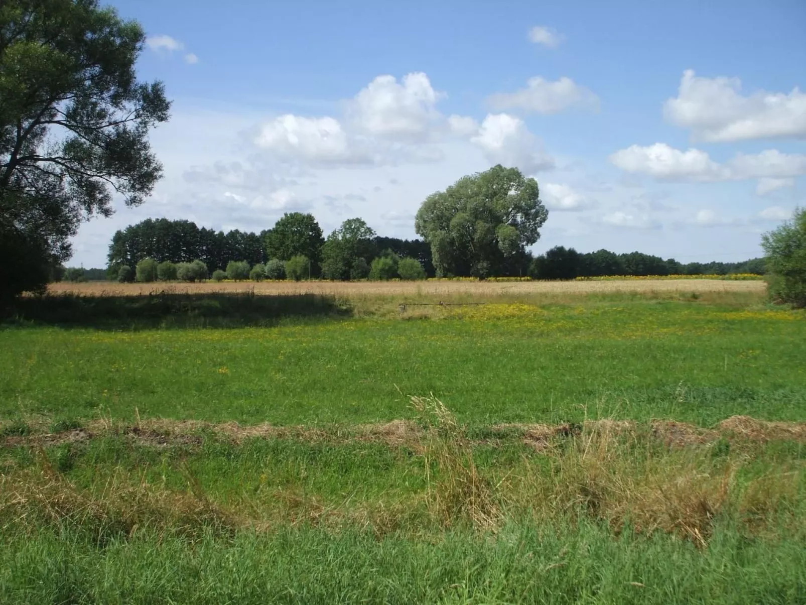 Oderhäuschen-Buiten