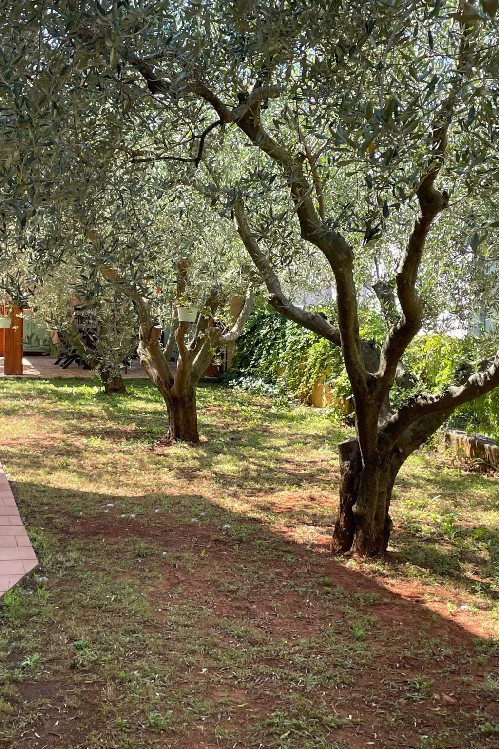 Komplette Villa mit zwei Appartements-Buiten