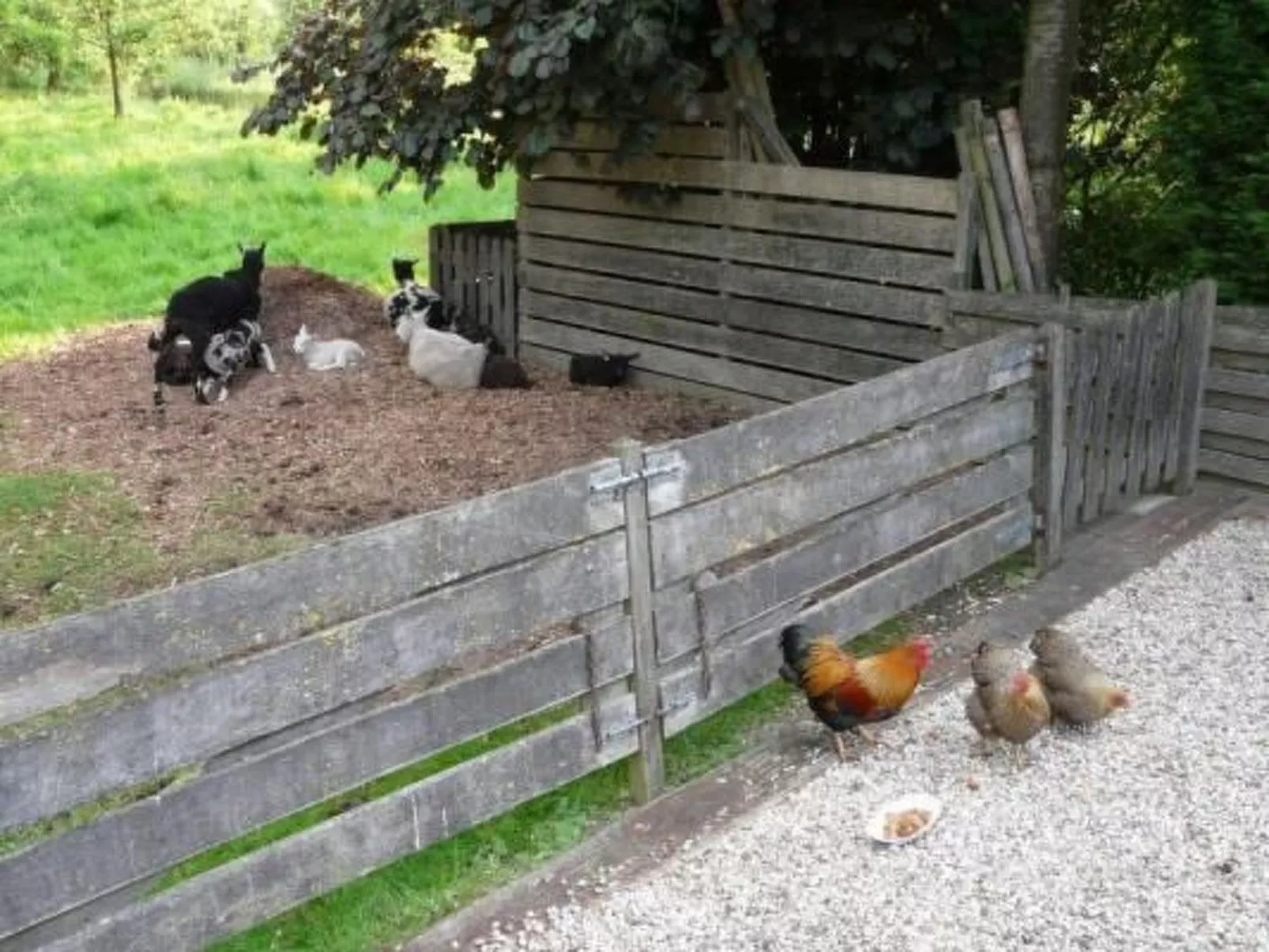 Wohnung auf dem Bauernhof-Buiten