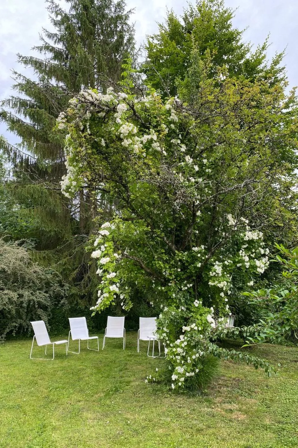 The Water Mill of Tourteron-Buiten
