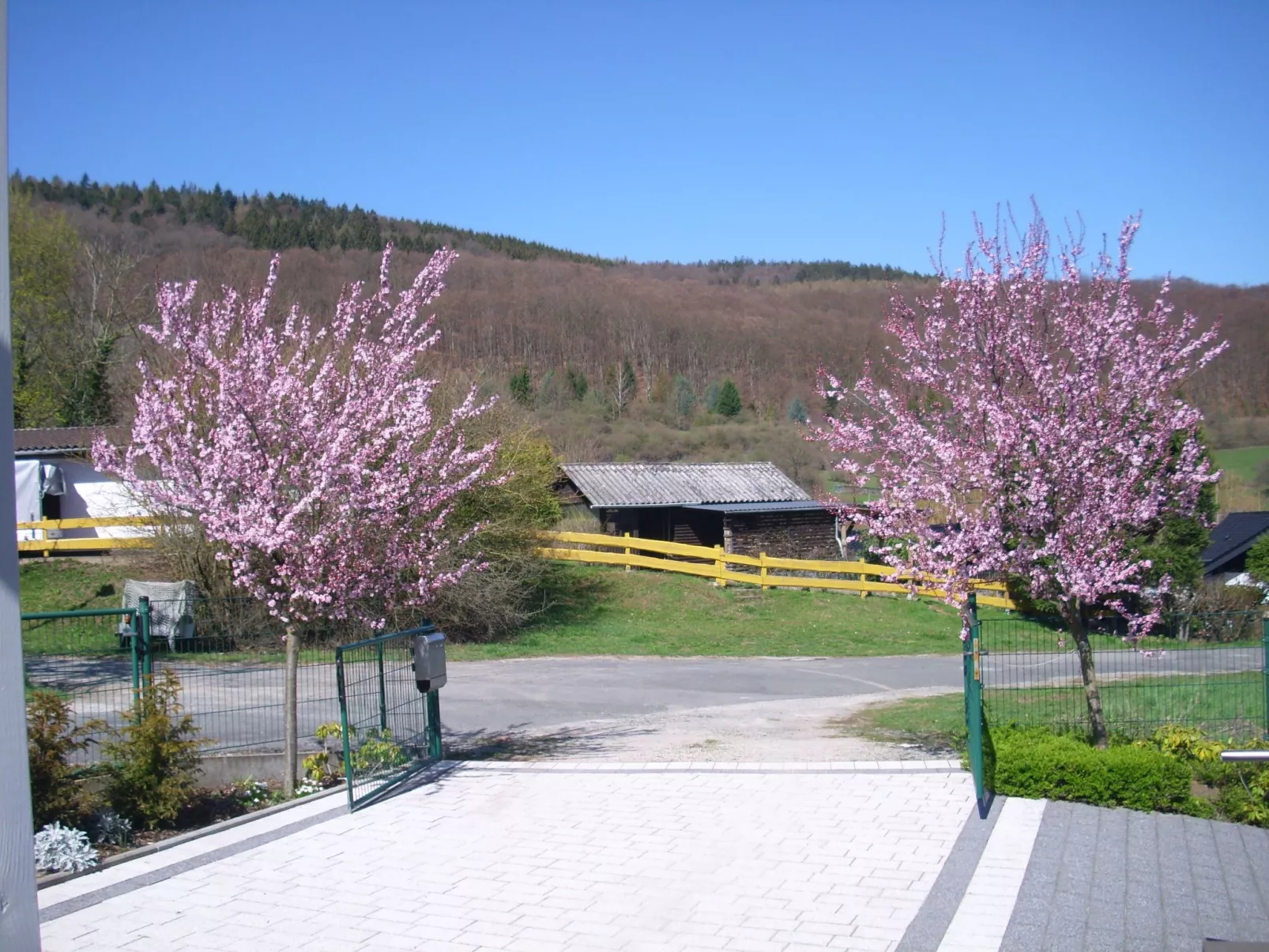 Ingrid-Image-tags.info