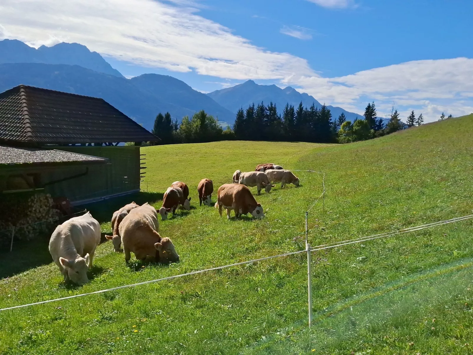 Waldpension Ranner-Buiten