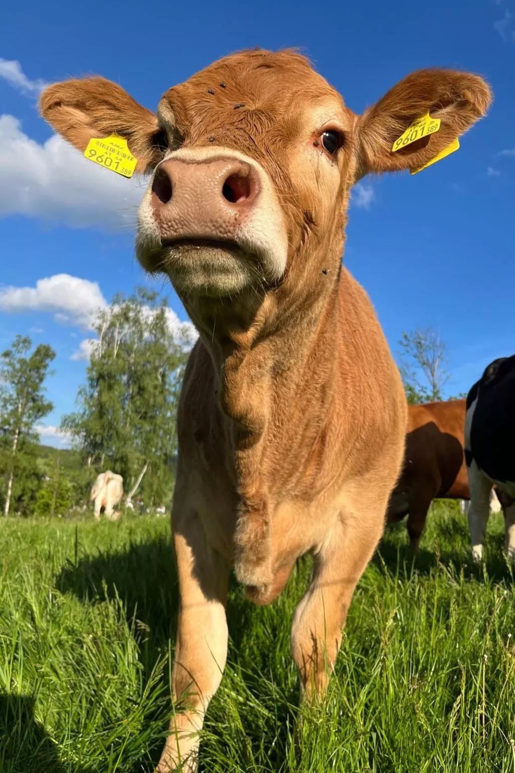 Wandlhof Ferienwohng-Buiten