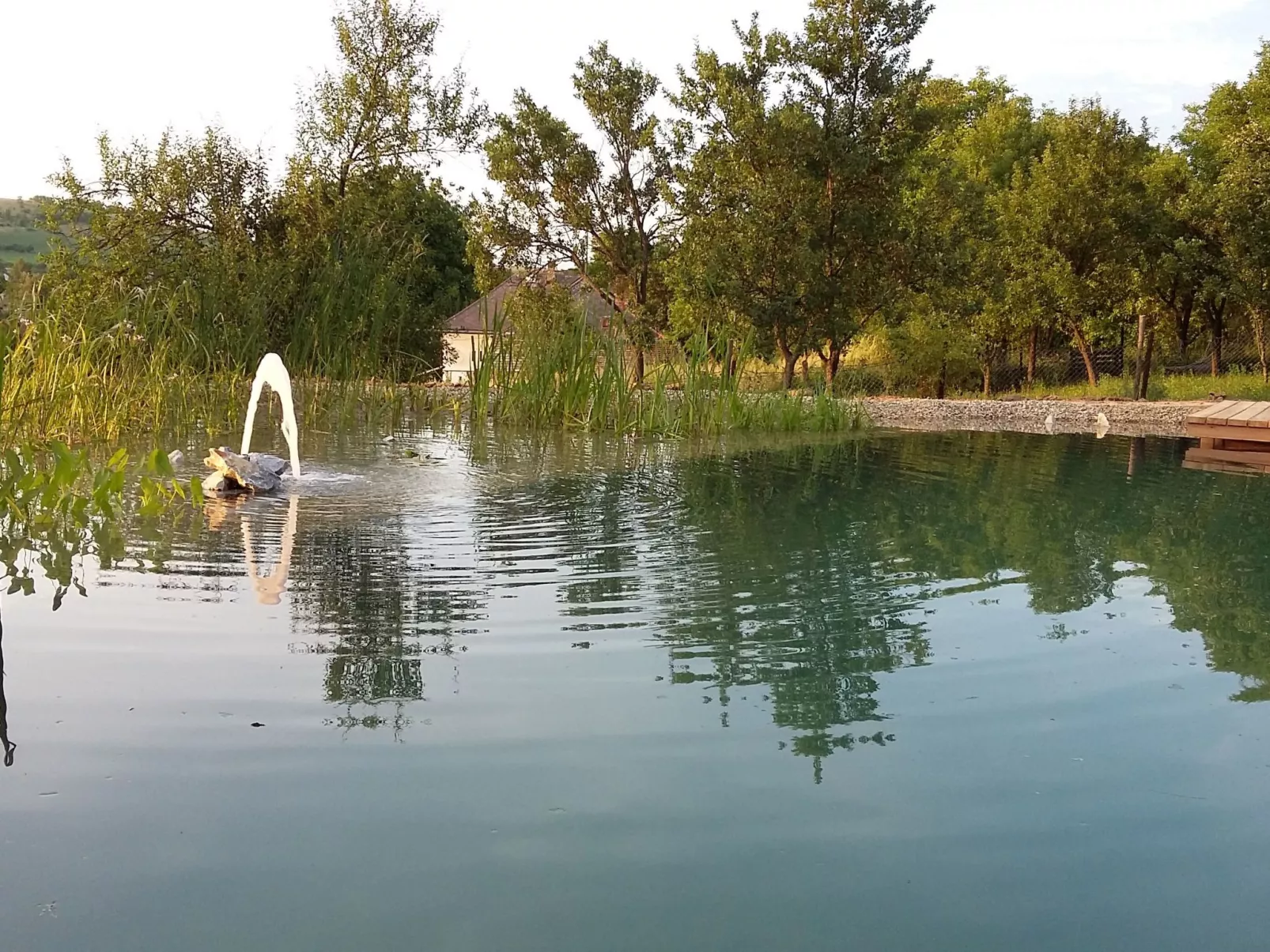 Mit biologischem Schwimmteich-Buiten