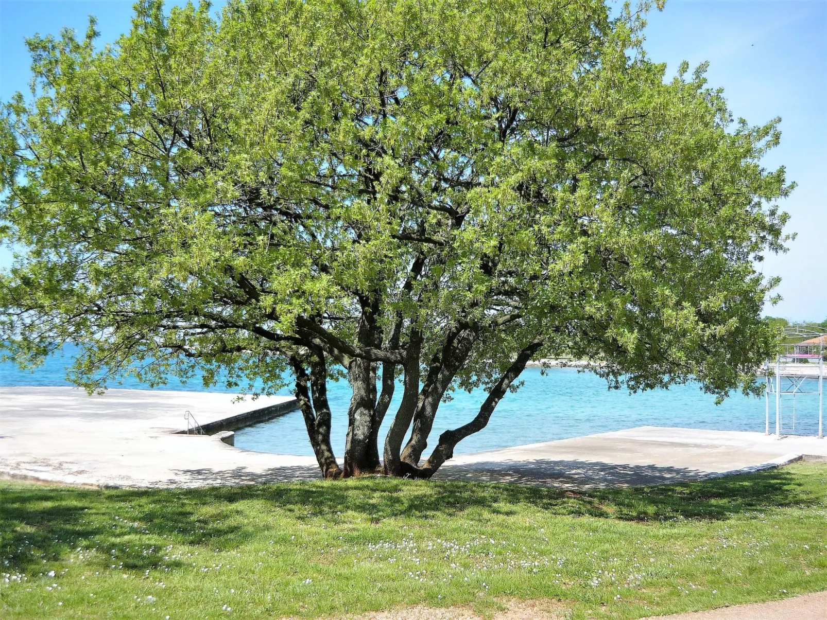 Appartement Irè 4 Persone-Buiten