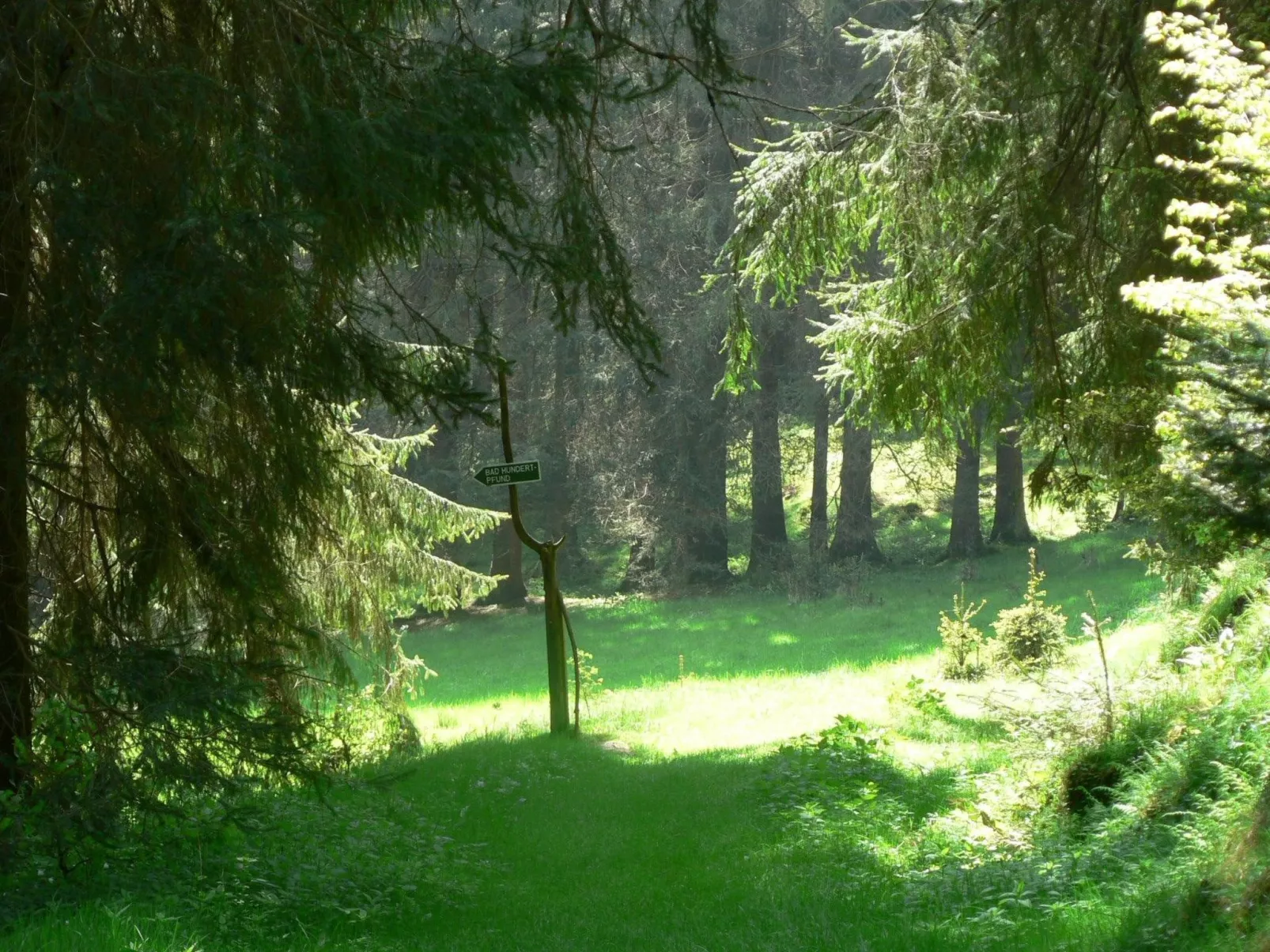 Für 6 Personen im Thüringer Wald-Buiten
