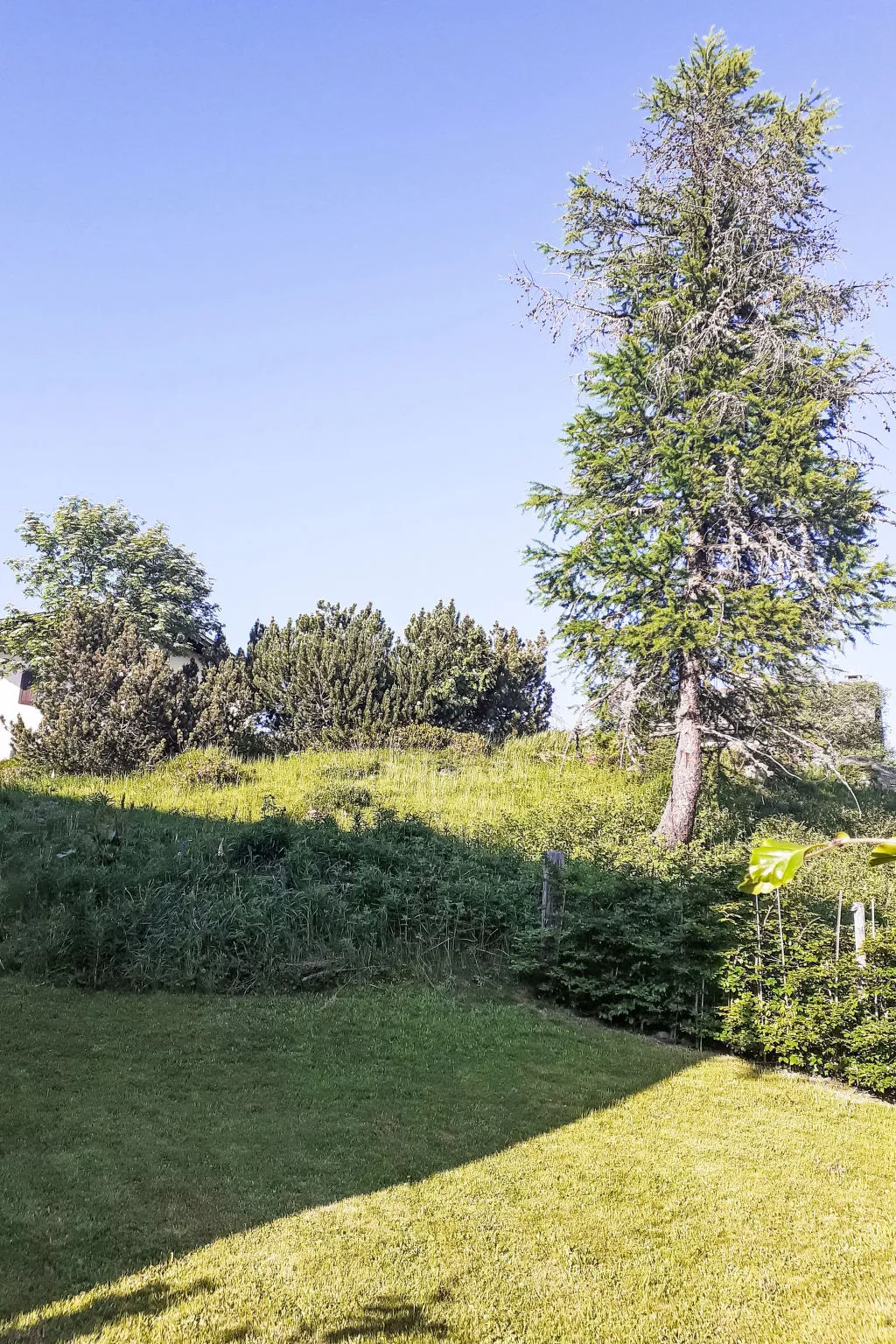 Wohnung Nuvola - Cà Val Forno-Omgeving