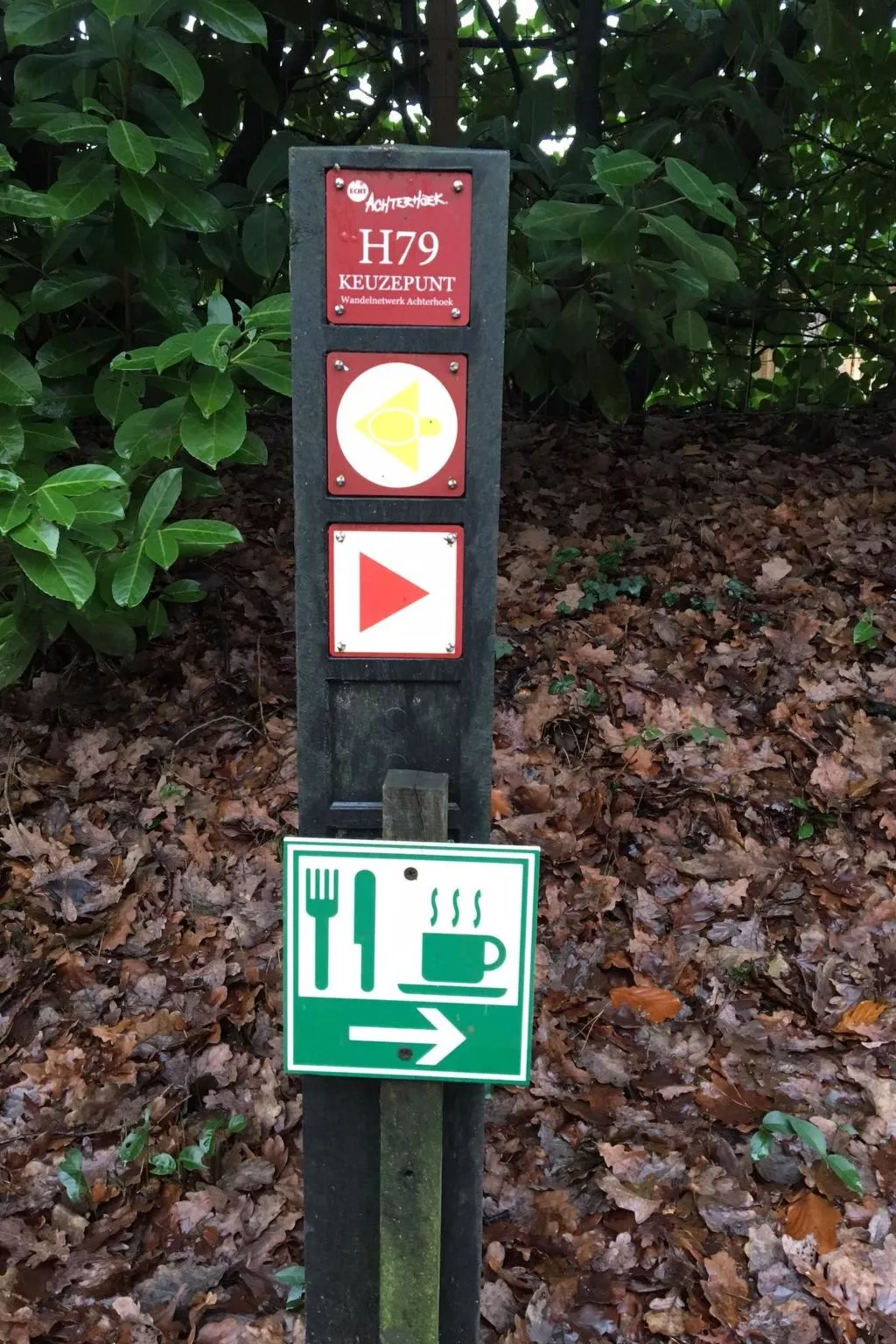 Geräumiges Ferienhaus mitten im Wald