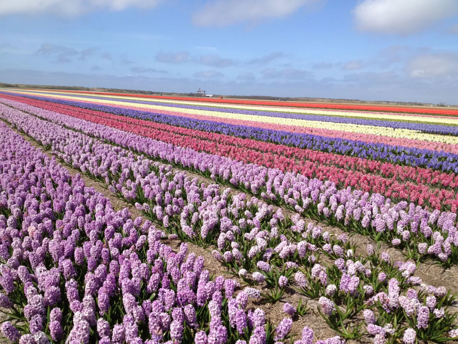 "De Korre 4" mit privatem Garten und Terrasse-Buiten