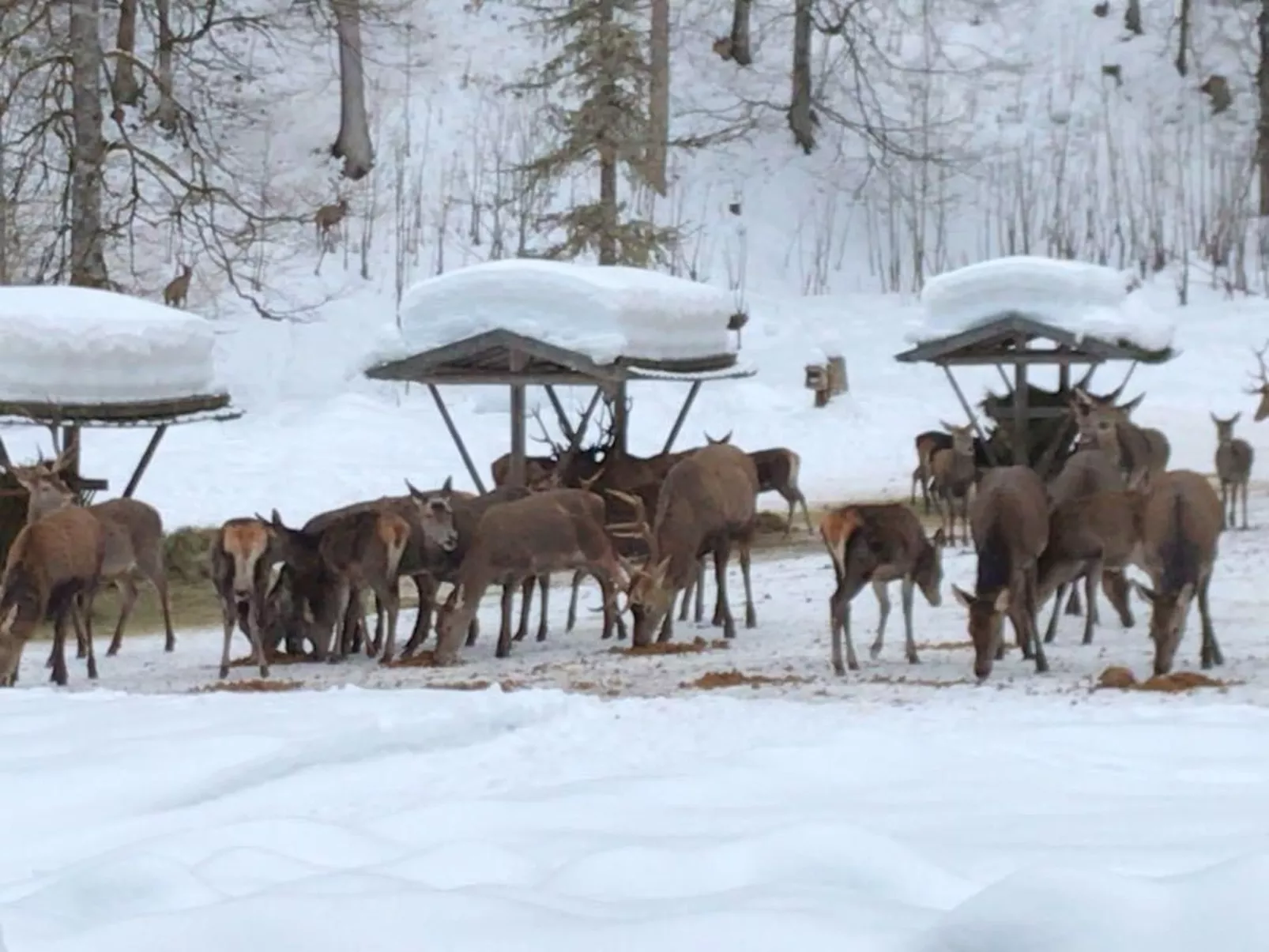 Mit Blick auf das Wasser-Buiten