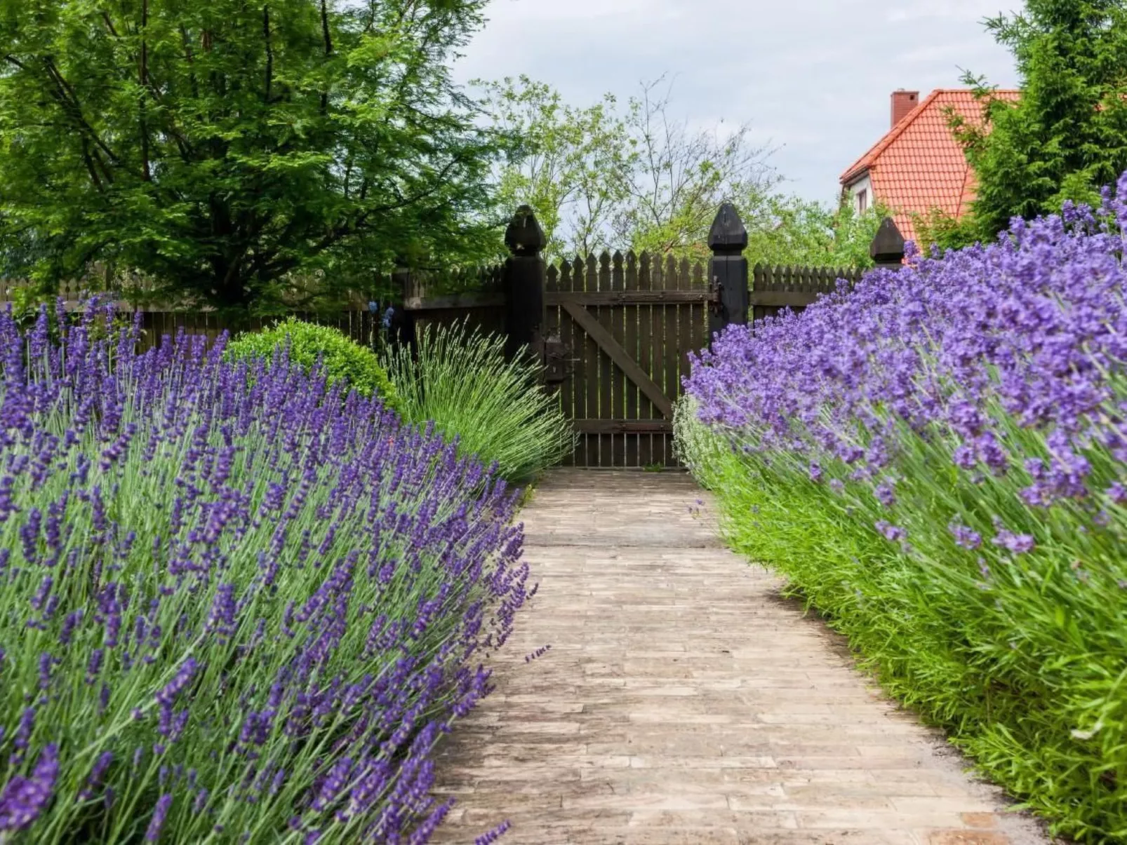 In Gąski mit Gepflegtem Garten
