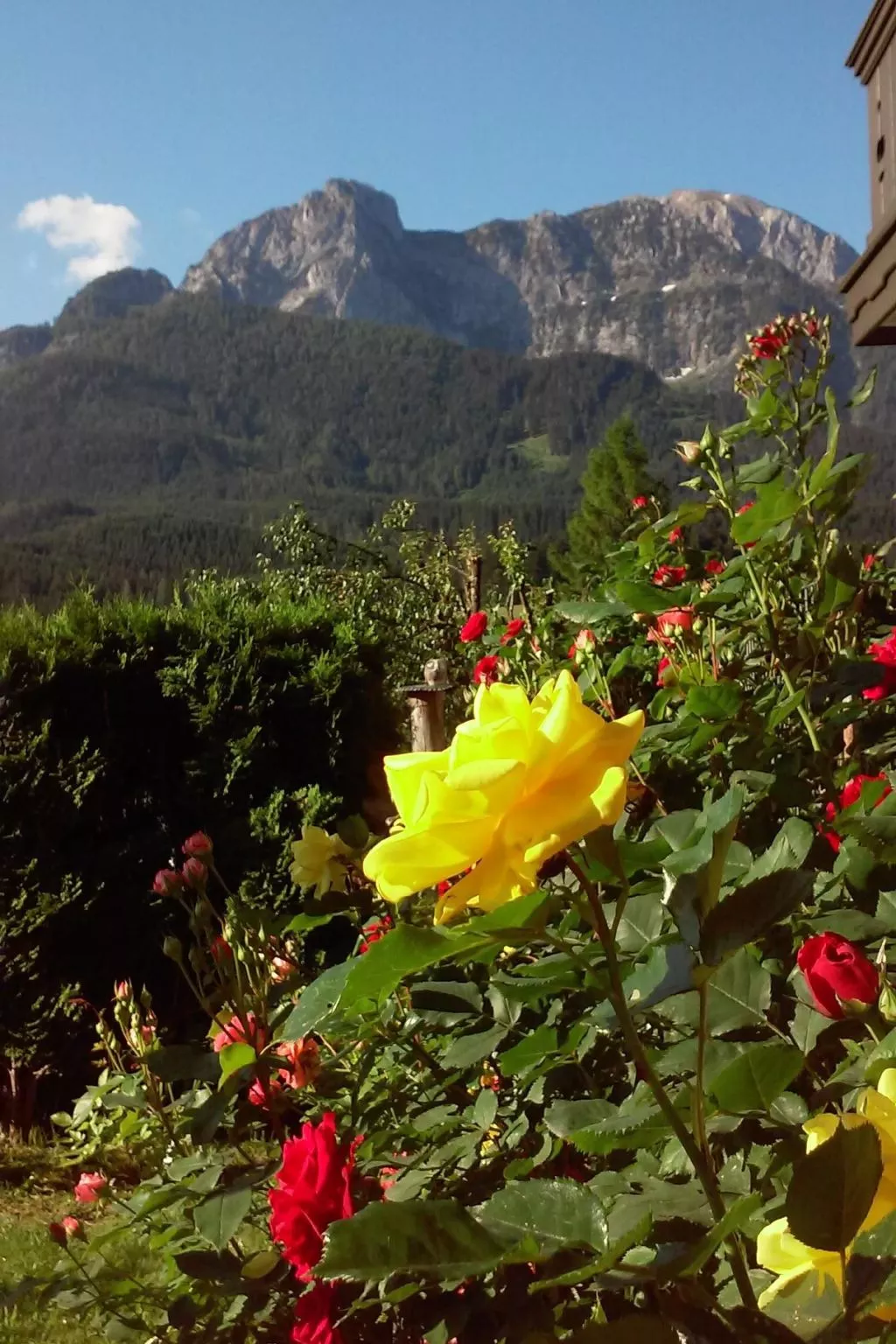 Herbst in Abtenau-Buiten