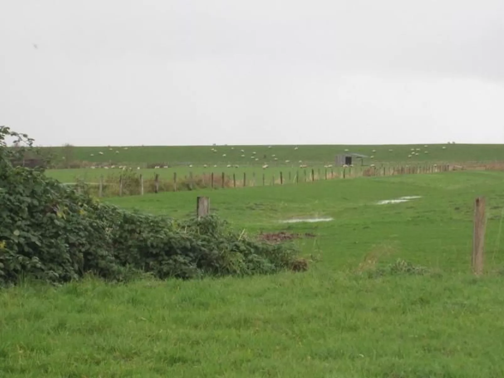 Großes Ferienhaus in Müggendorf mit Garten