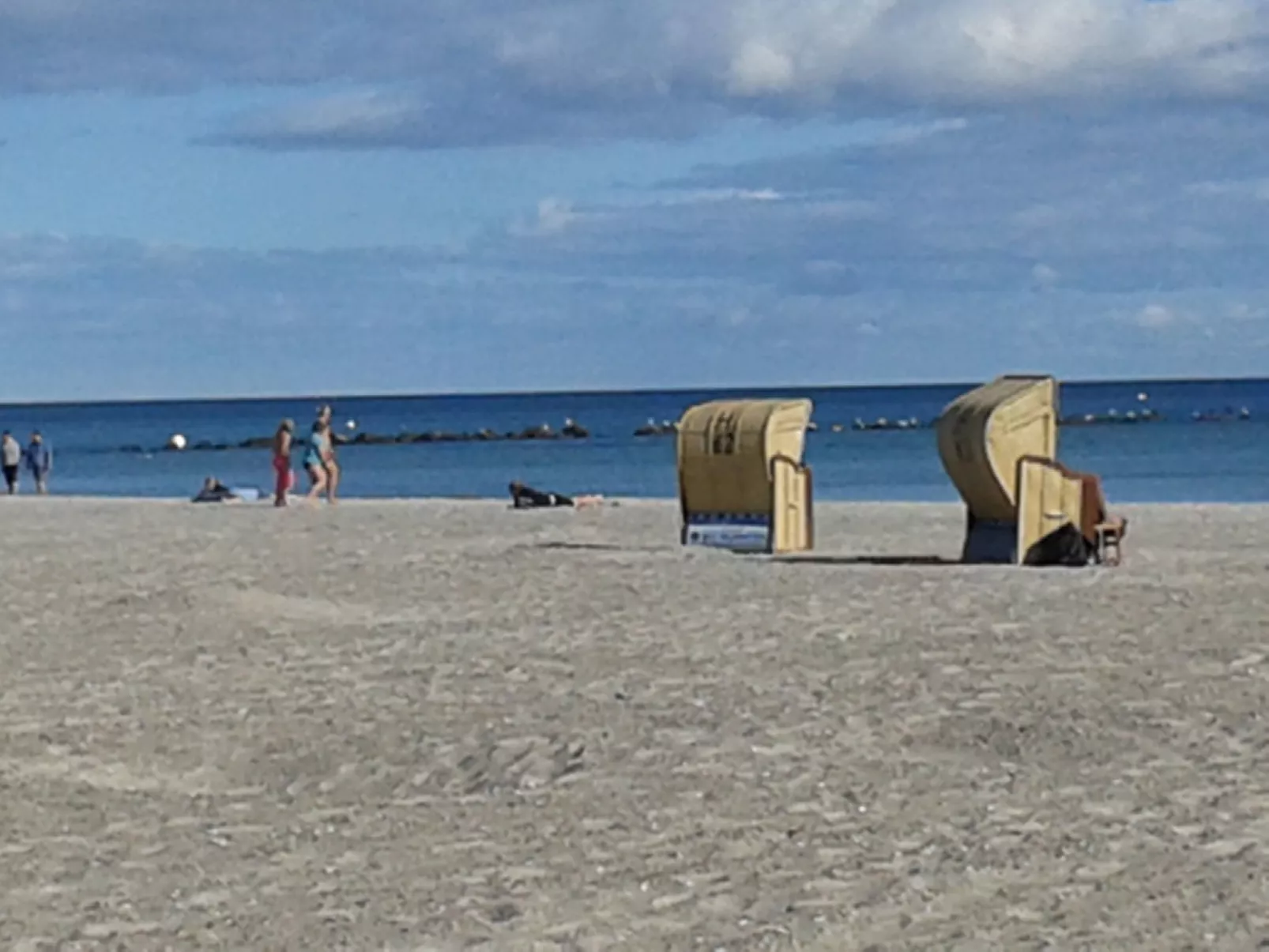 Heringsmöwe in Neue Tiefe-Buiten