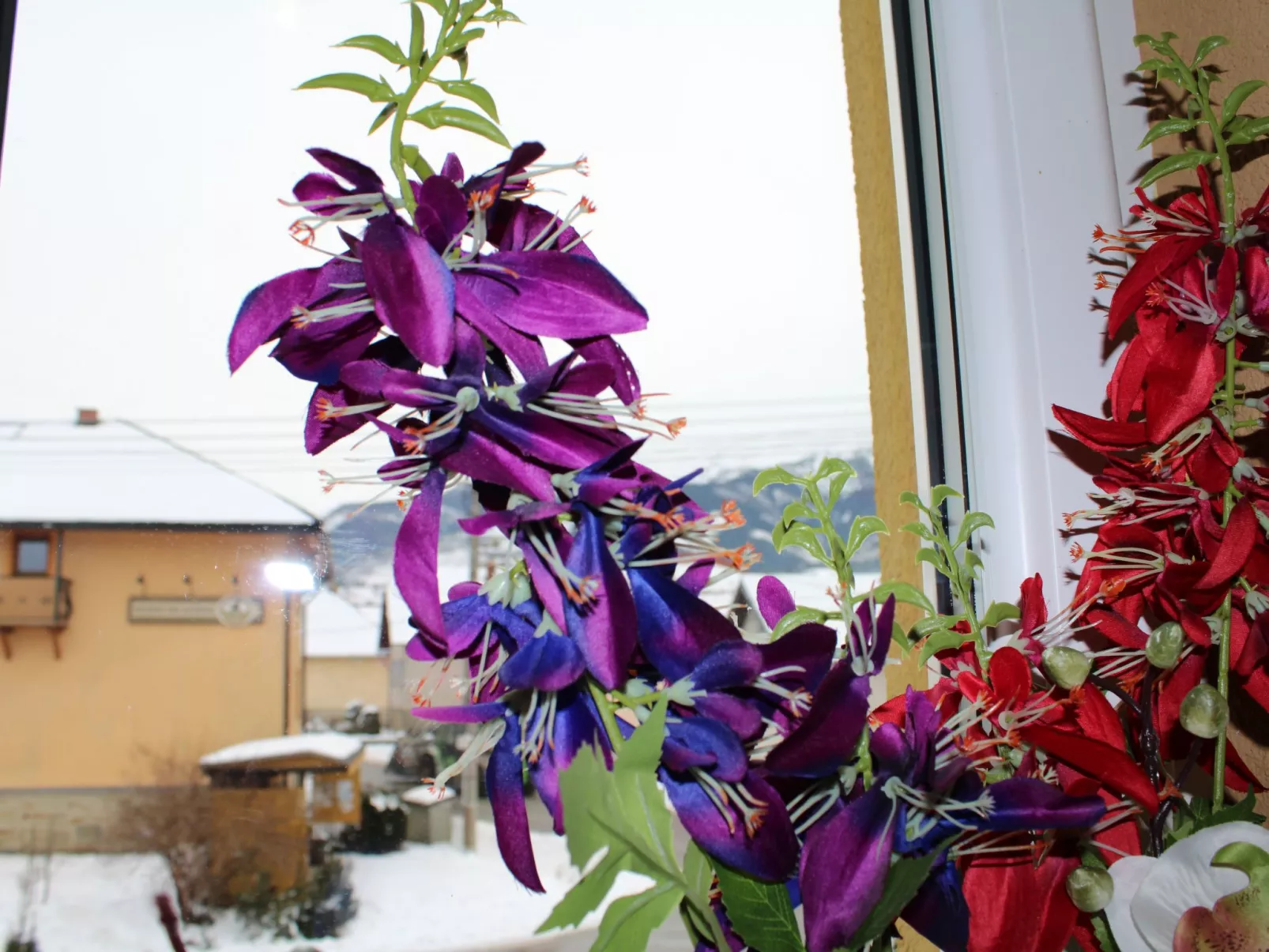 Apartment Westtatra-Binnen