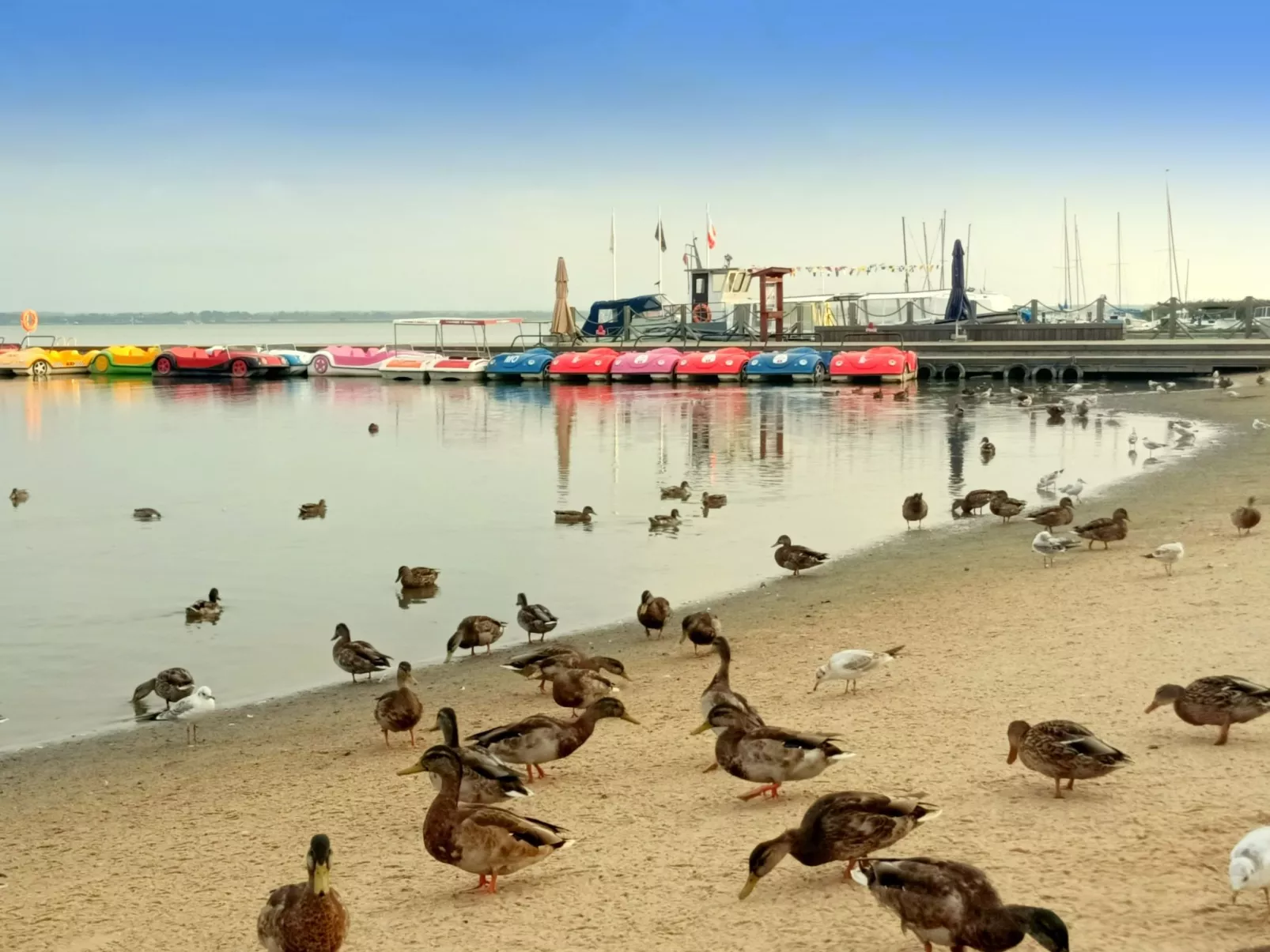 "Paradise Star2" mit eigener Terrasse-Buiten