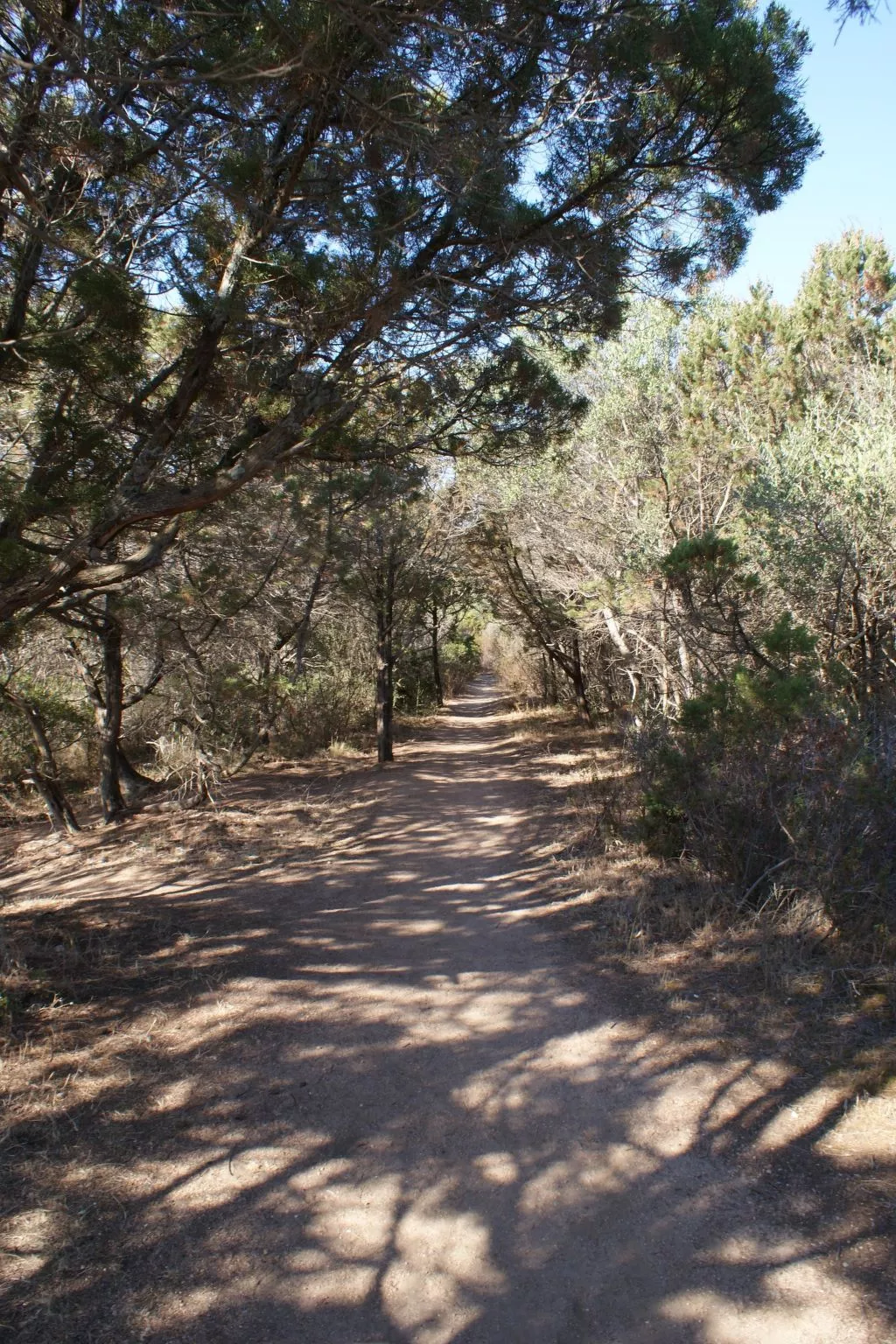 Villa Casa Nera-Buiten