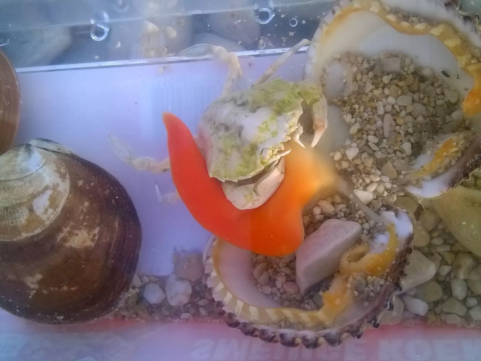 Mit Blick auf das Wasser-Image-tags.info