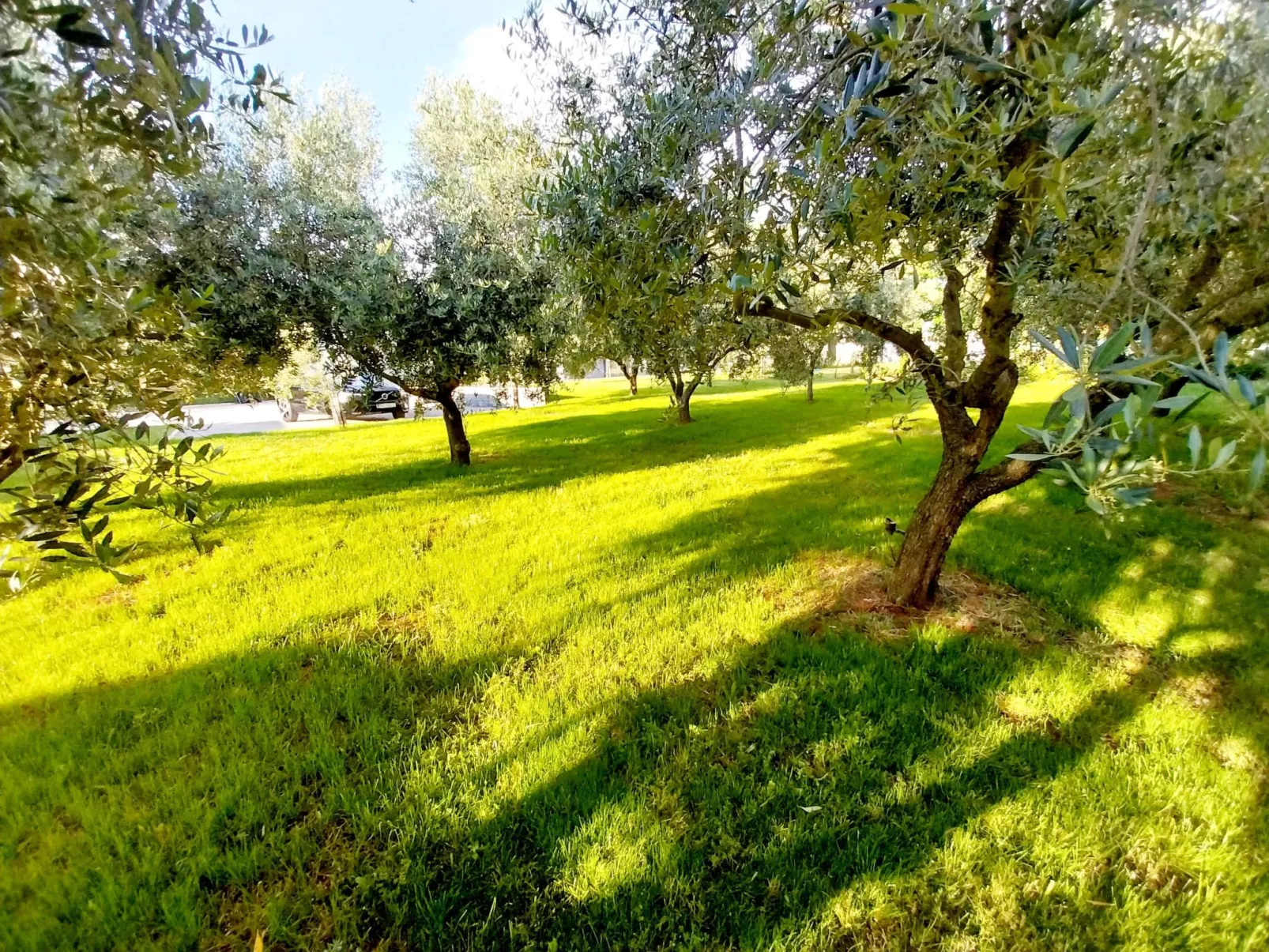 Hacienda Matea - Oase der Romantik in Strandnähe-Buiten