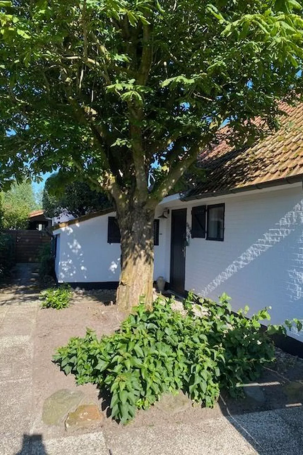 Zonnewind in der Nähe von Dünen und Wald