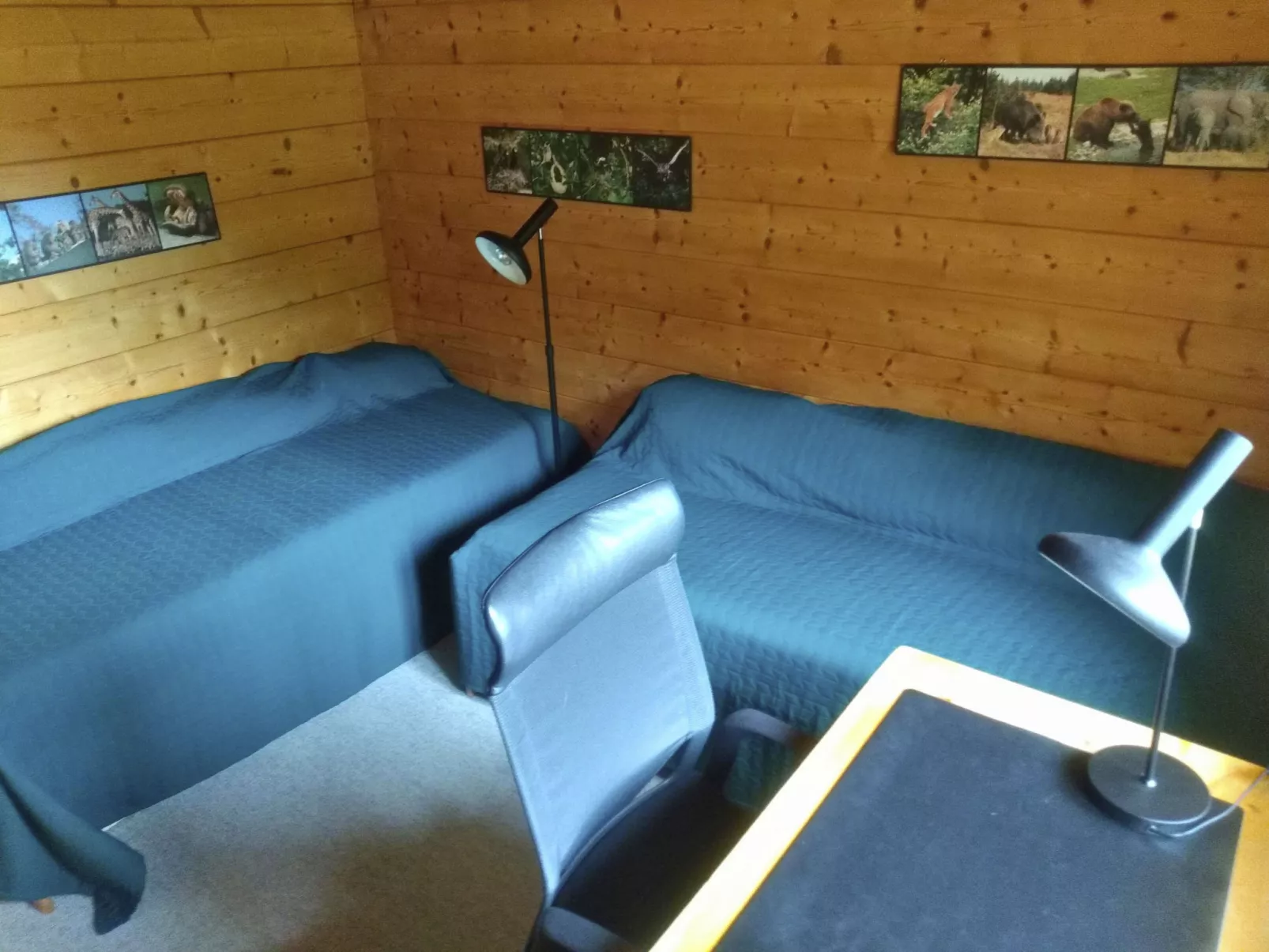 Chalet mit Bergsicht-Binnen