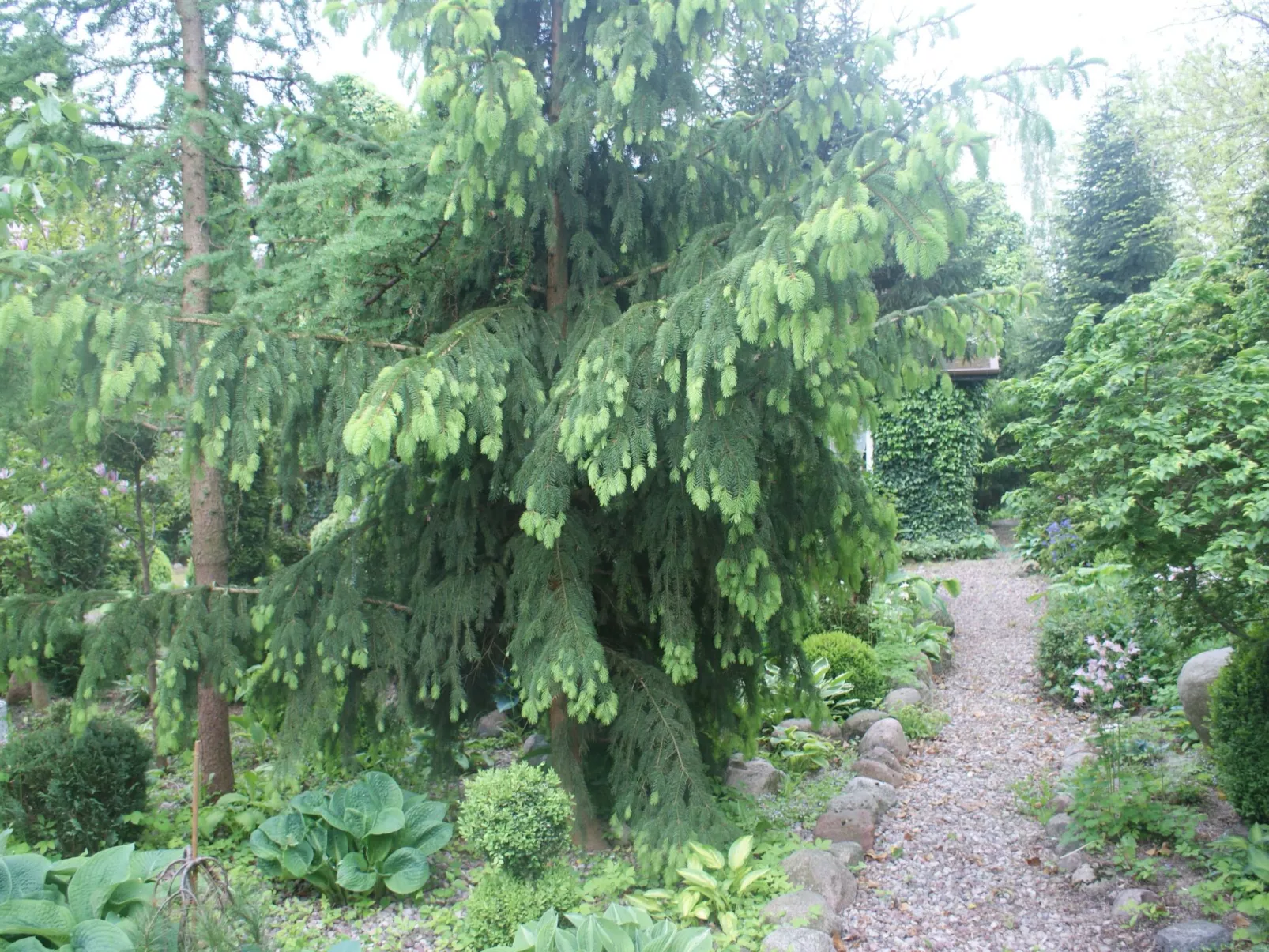 Meer, Landschaft, Stille - Ferienhäuser in den Gärten von Magra-Buiten