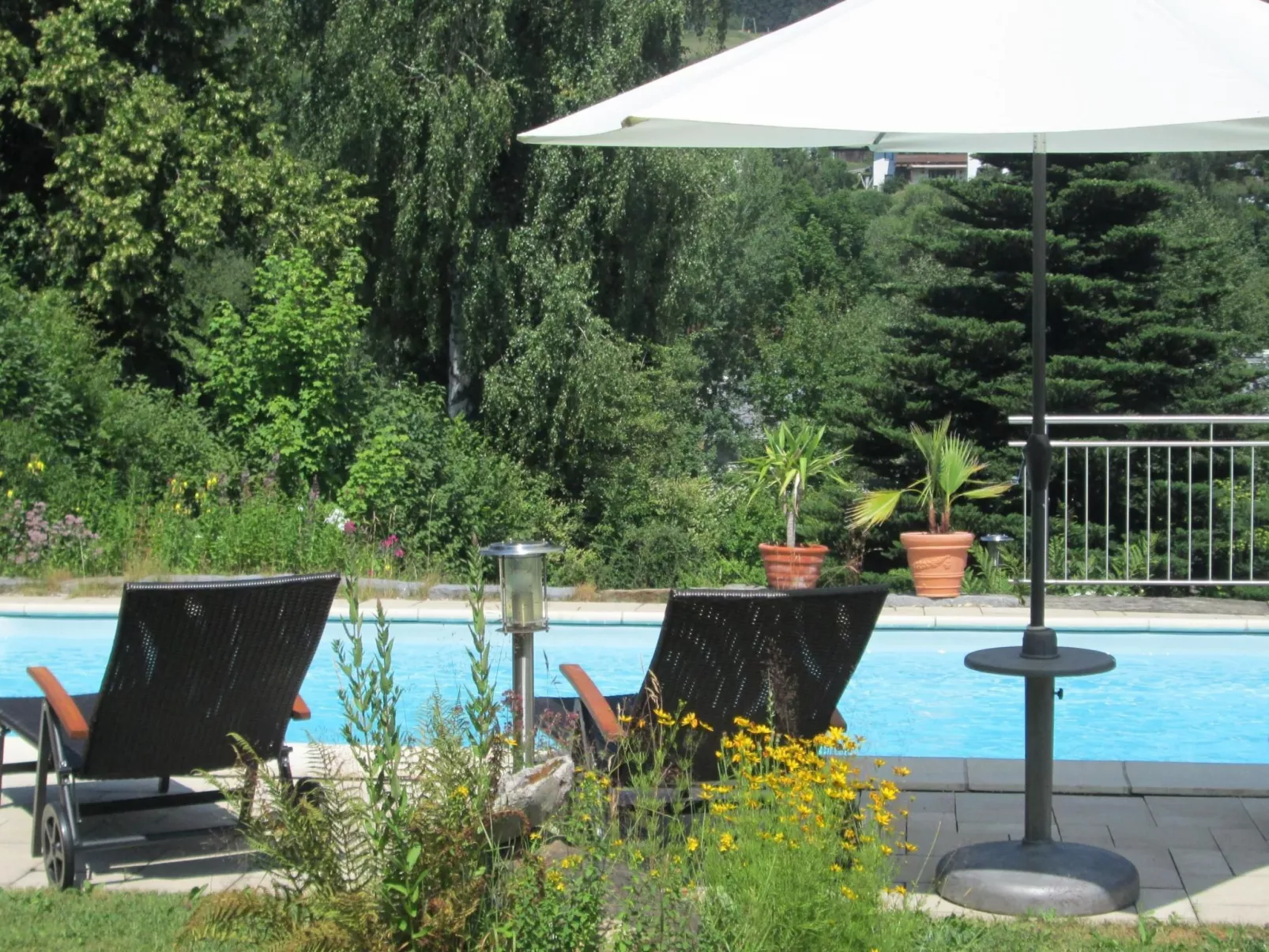 Wiesengrund in Bayerisch Eisenstein-Buiten