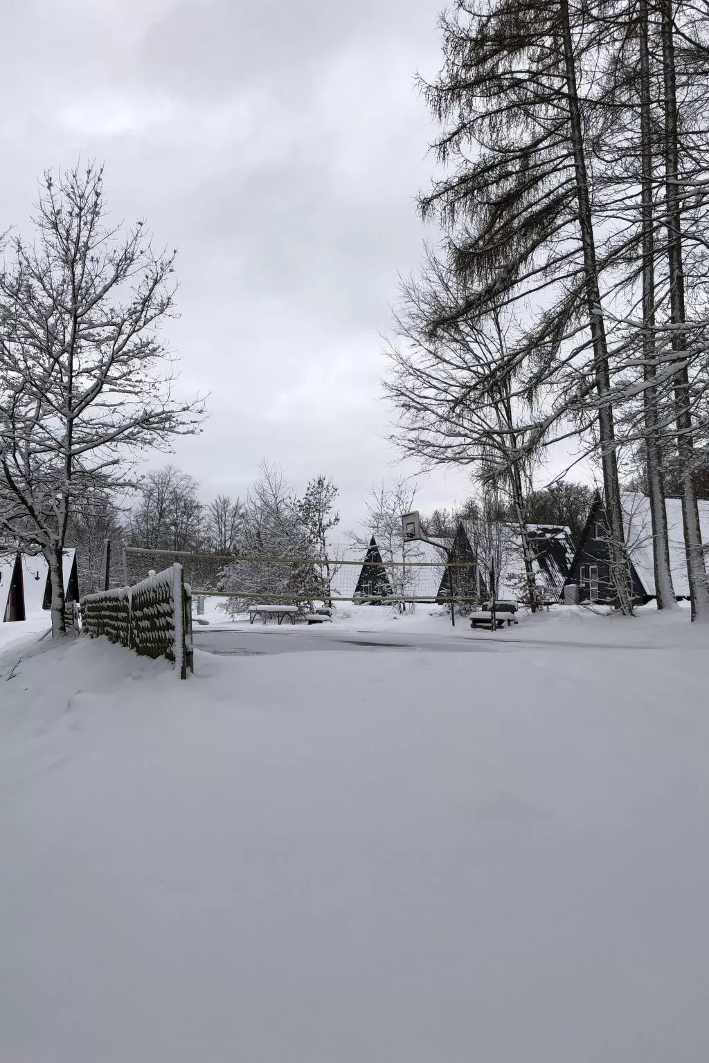 Wunderschönes Ferienhaus am Waldrand-Image-tags.info