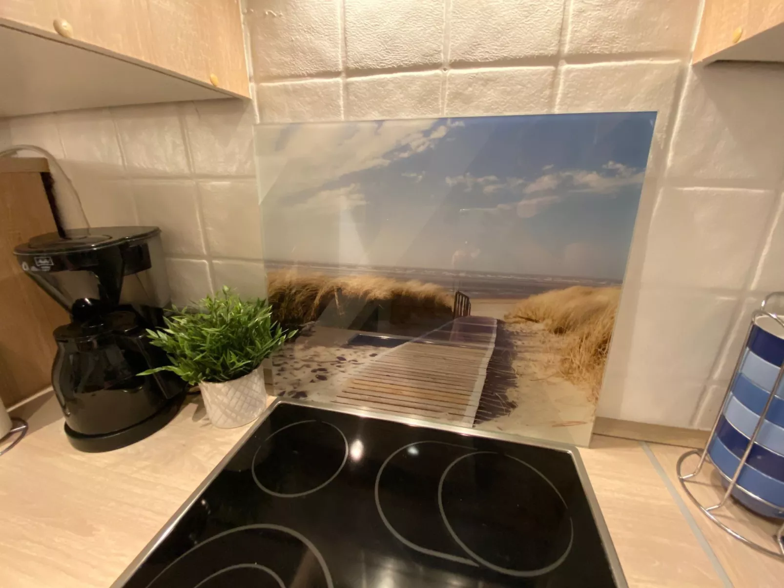 Heimathafen Friko-Binnen