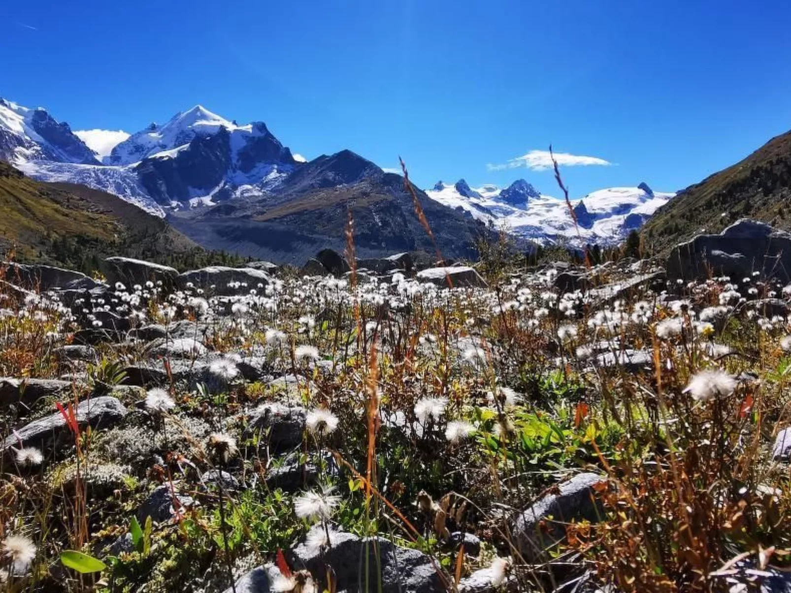 Via charels sur 8-Buiten